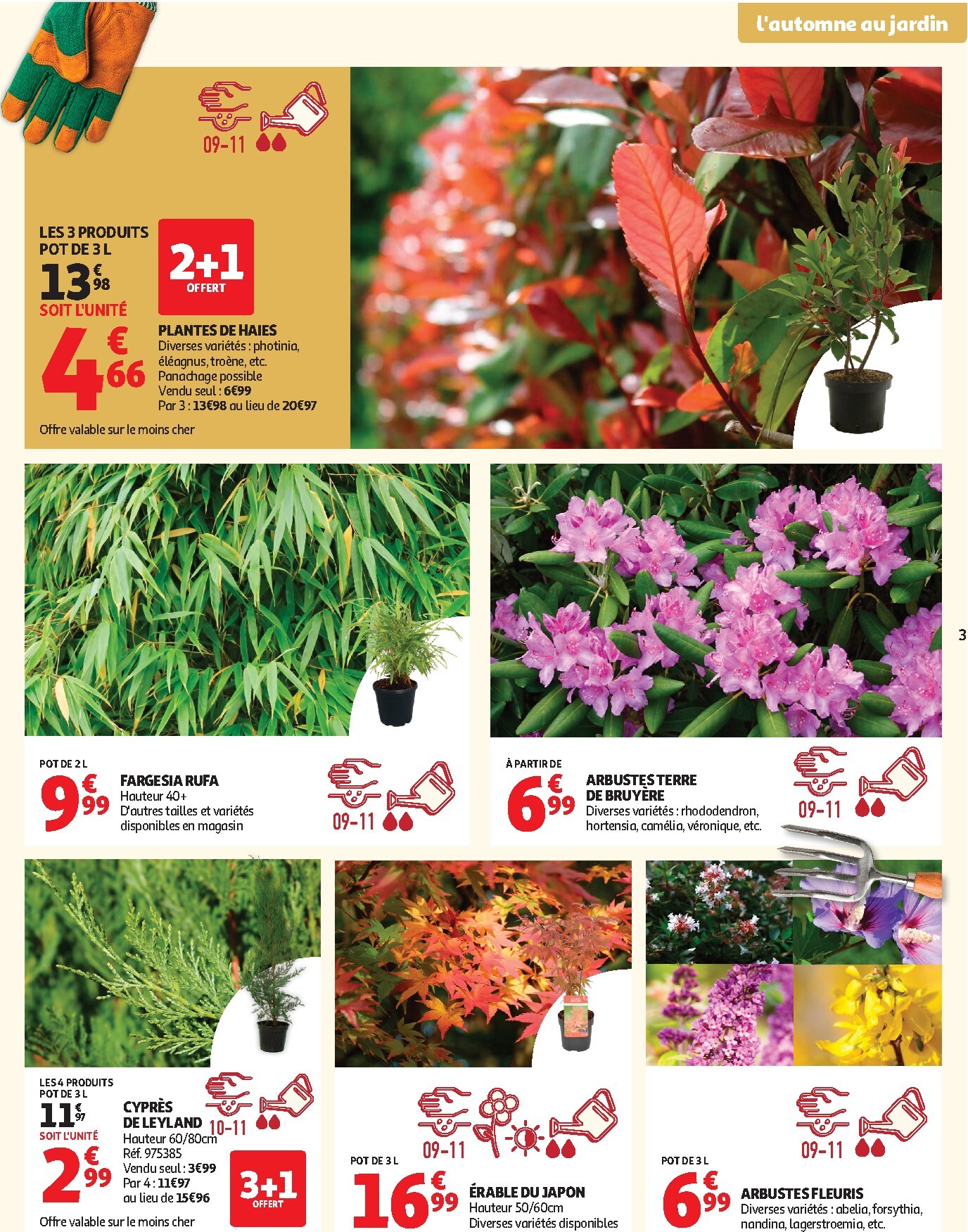 auchan - Flyer Auchan - Jardinage automne pour la semaine prochaine du du mardi 22/09/2026 au du dimanche 11/10/2026 - page: 3