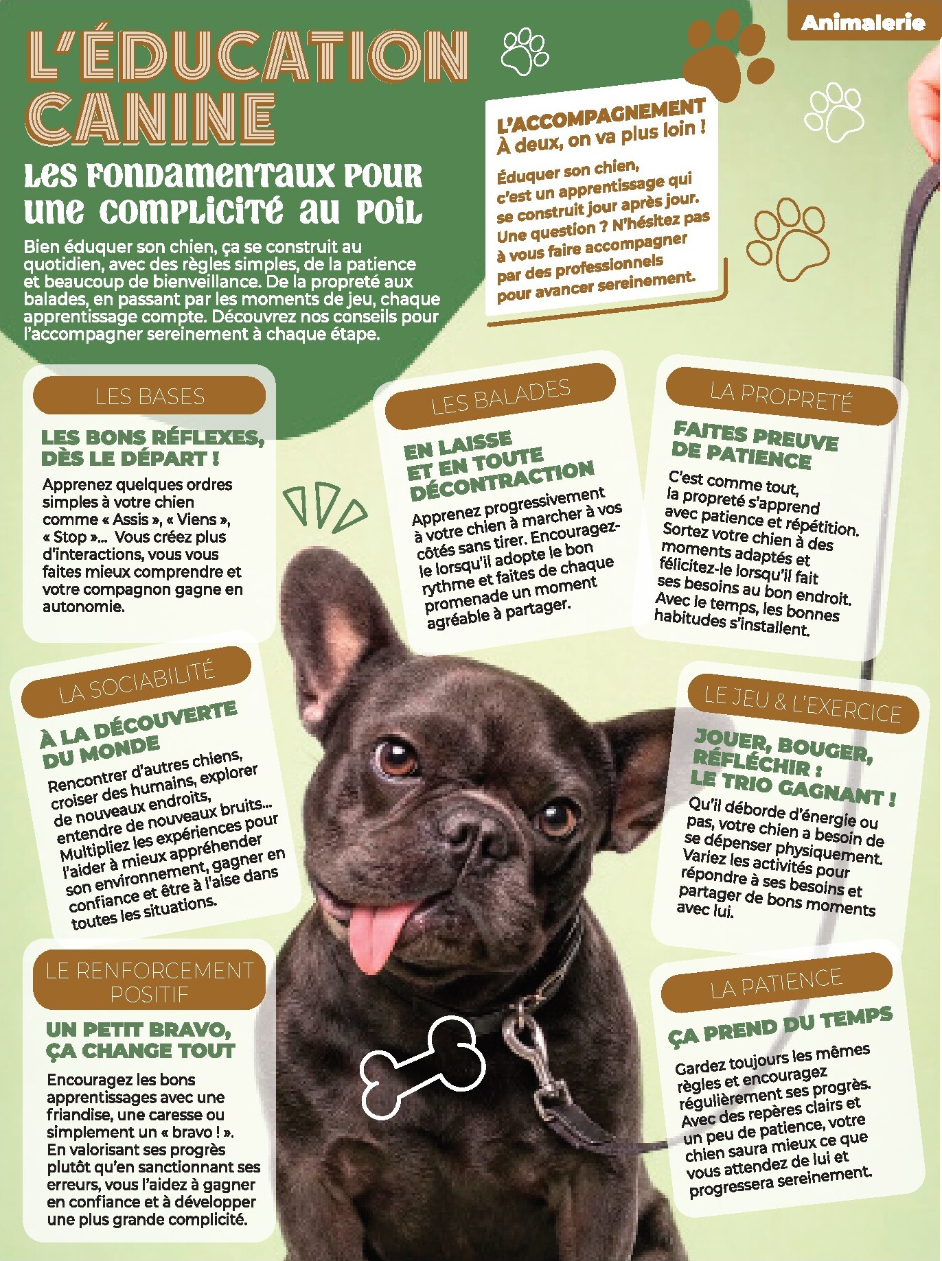 auchan - Flyer Auchan pour la semaine prochaine du du mardi 06/10/2026 au du dimanche 18/10/2026 - page: 17