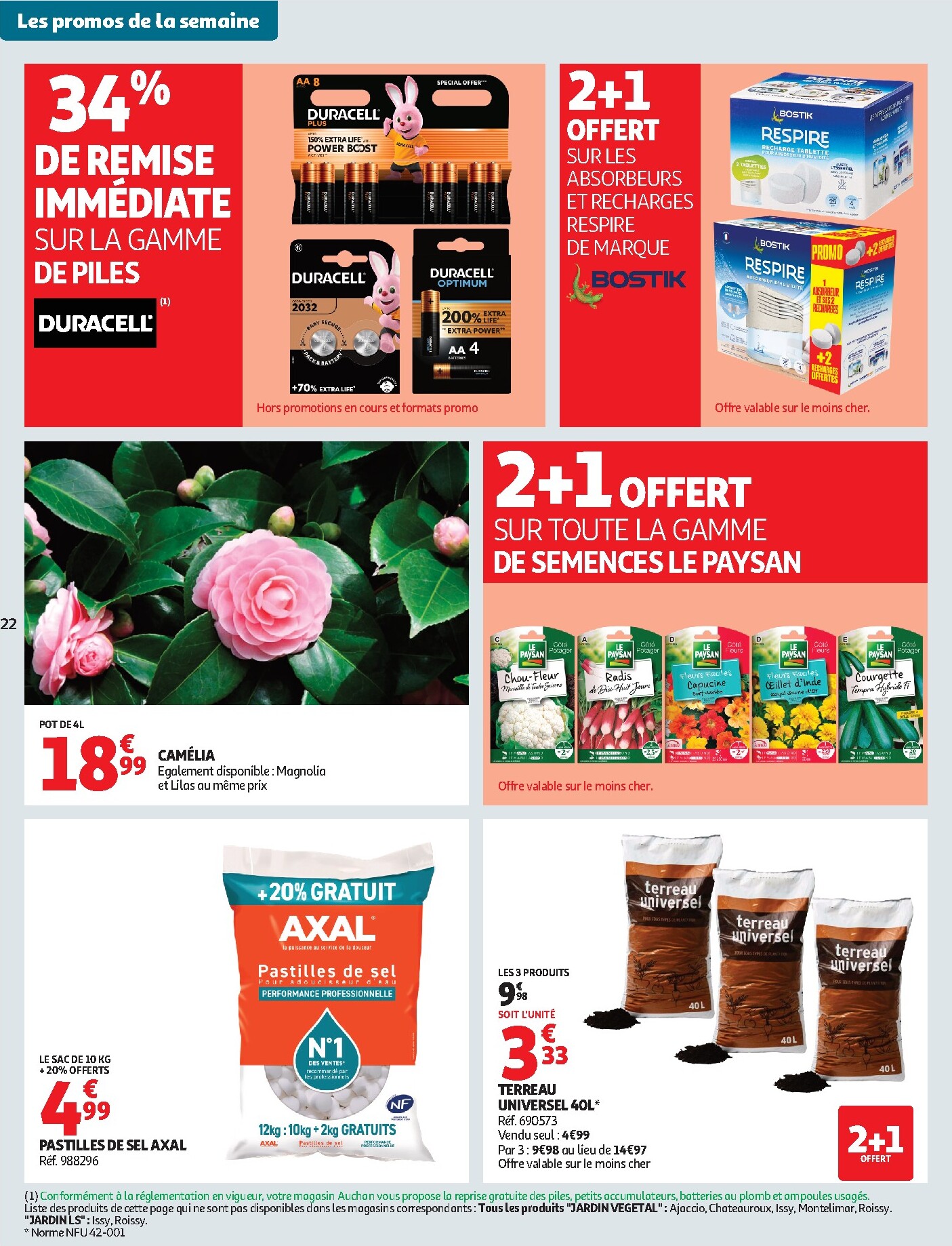 auchan - Catalogue Auchan - Pâques, halles printemps valable du 17/03/2026 au 22/03/2026 - page: 22