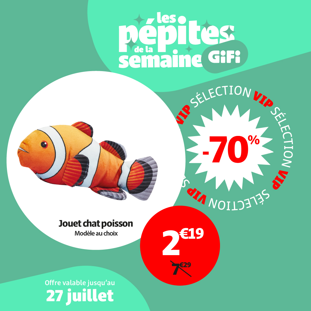 gifi - Catalogue Gifi - Les pépites de la semaine valable du 22/07 au 27/07 - page: 4