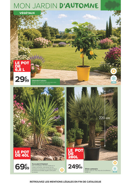 carrefour-market - Flyer Carrefour Market - Là ou la vie se cultive pour la semaine prochaine du du mardi 22/09/2026 au du dimanche 11/10/2026 - page: 5