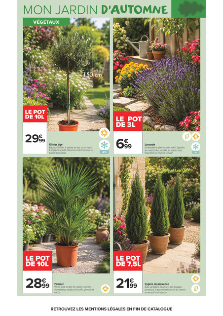 carrefour-market - Flyer Carrefour Market - Là ou la vie se cultive pour la semaine prochaine du du mardi 22/09/2026 au du dimanche 11/10/2026 - page: 4