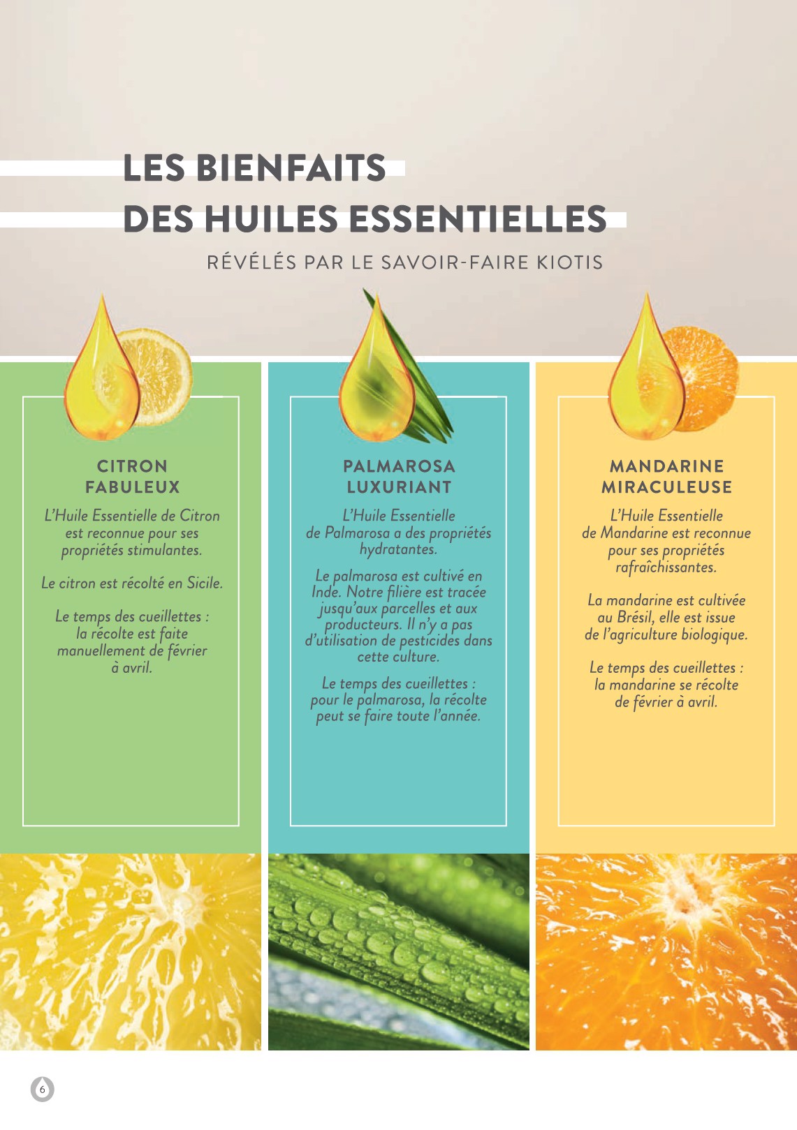 stanhome - Catalogue Stanhome - Kiotis valable du 01/12 au 31/12 - page: 6