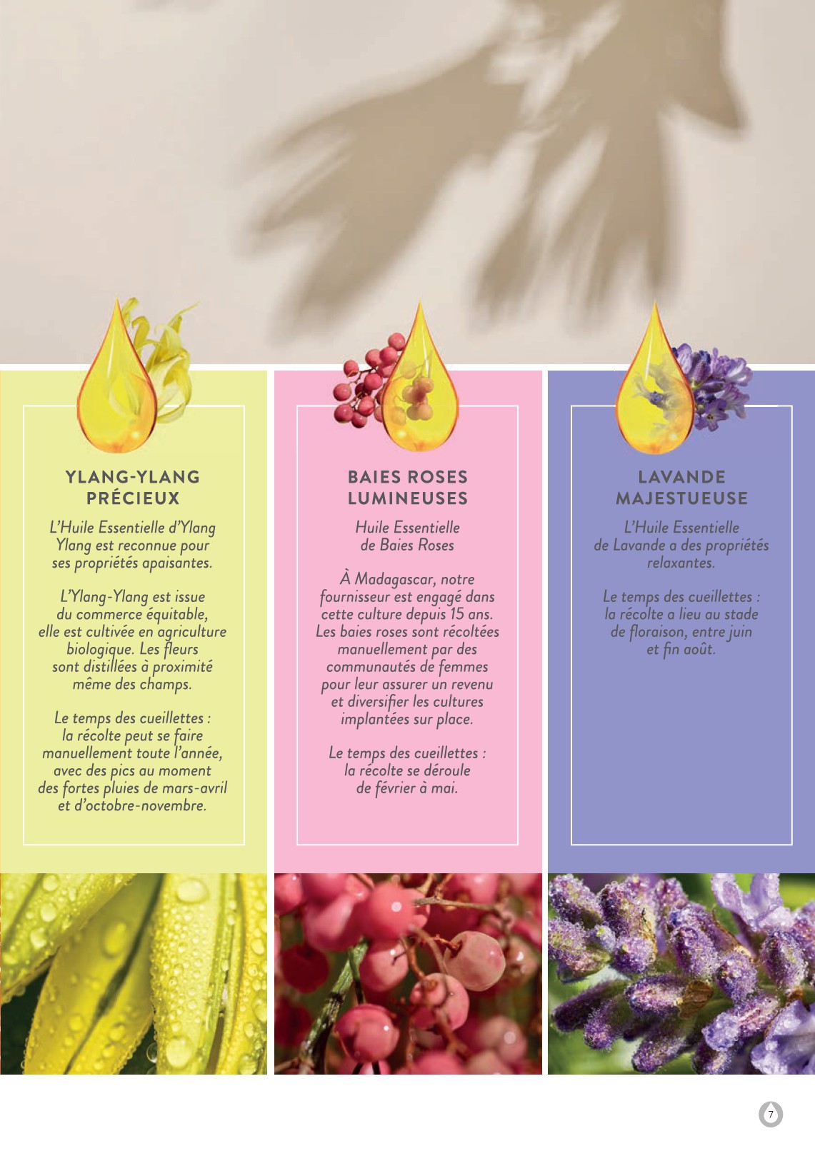 stanhome - Catalogue Stanhome - Kiotis valable du 01/12 au 31/12 - page: 7