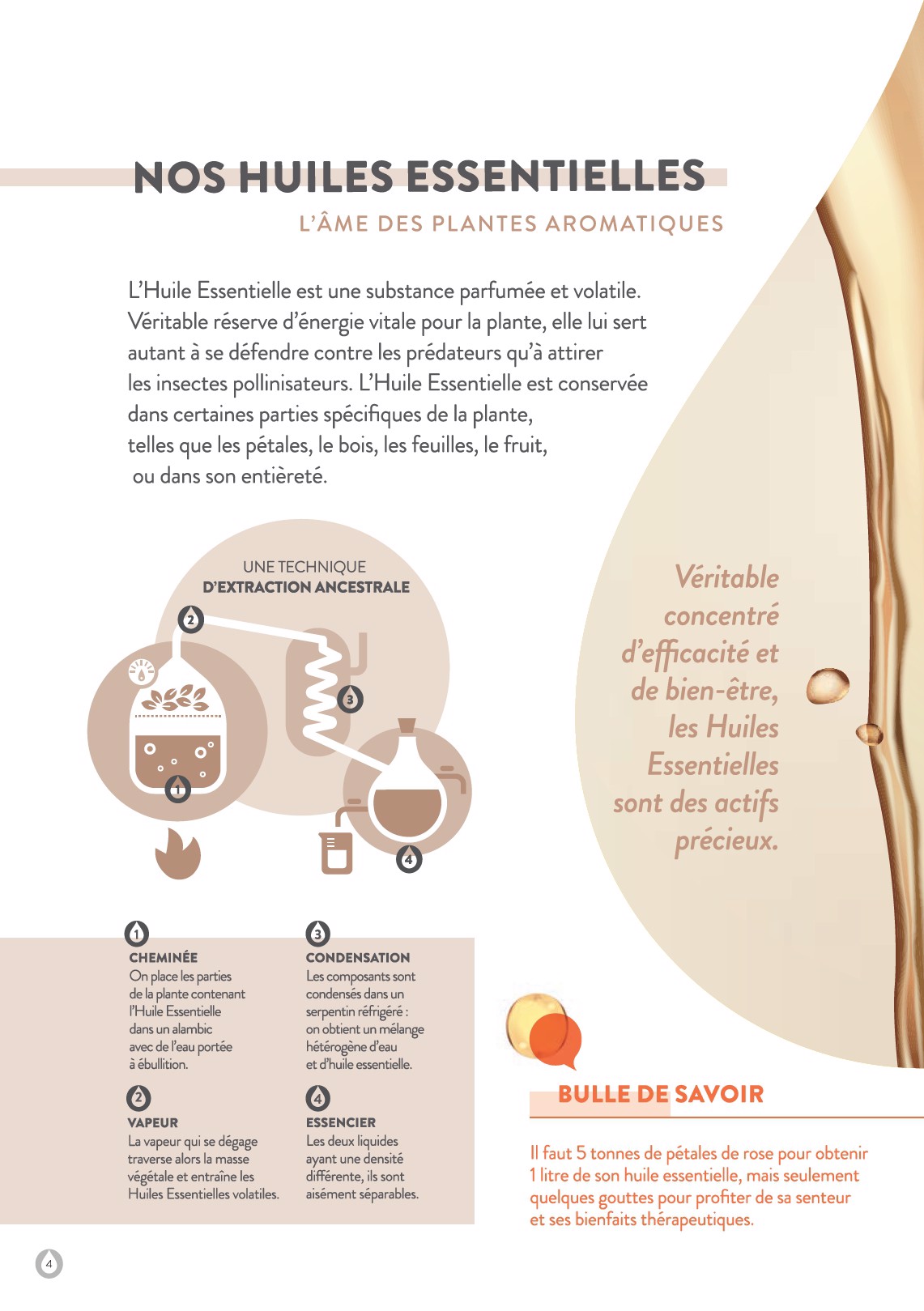 stanhome - Catalogue Stanhome - Kiotis valable du 01/12 au 31/12 - page: 4