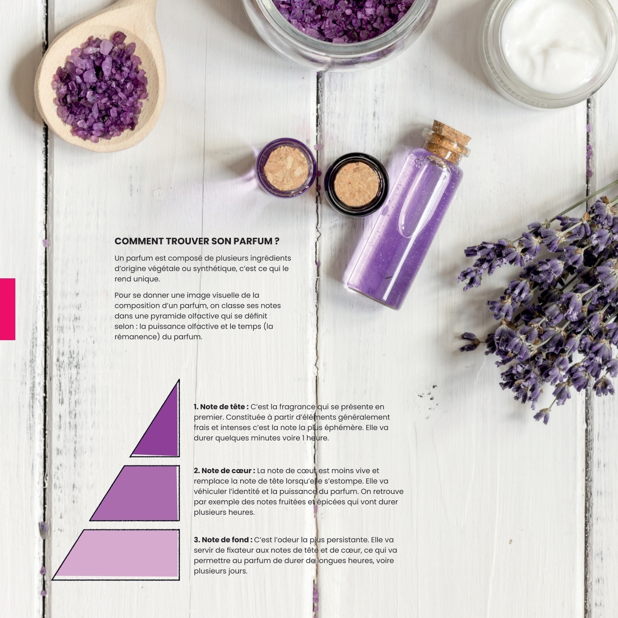 texam - Catalogue Catalogue Texam valable du 01/02/2026 au 31/12/2026 - page: 33