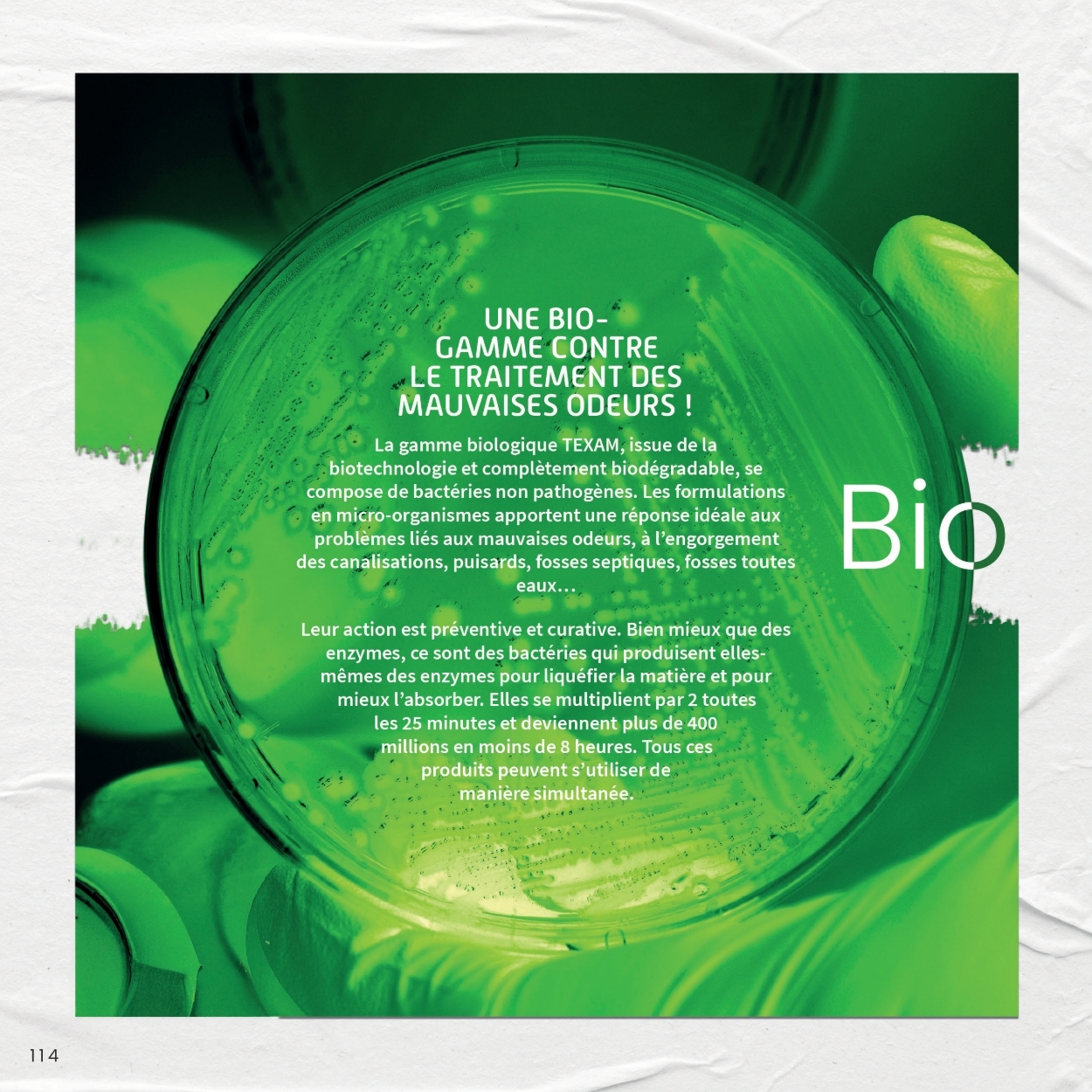 texam - Catalogue Catalogue Texam valable du 01/02/2026 au 31/12/2026 - page: 72