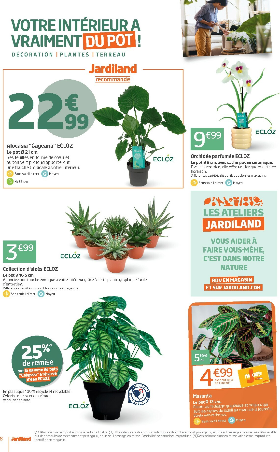 jardiland - Catalogue Jardiland valable du 01/10 au 12/10 - page: 8
