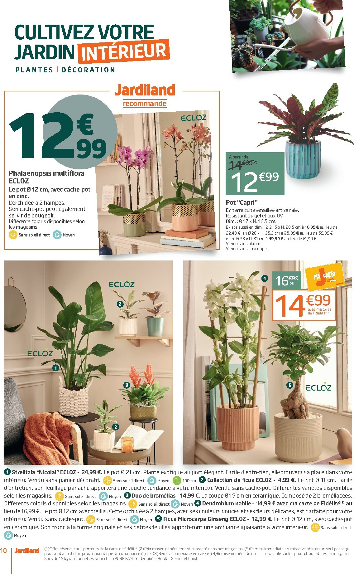 jardiland - Catalogue Jardiland valable du 22/10 au 02/11 - page: 10