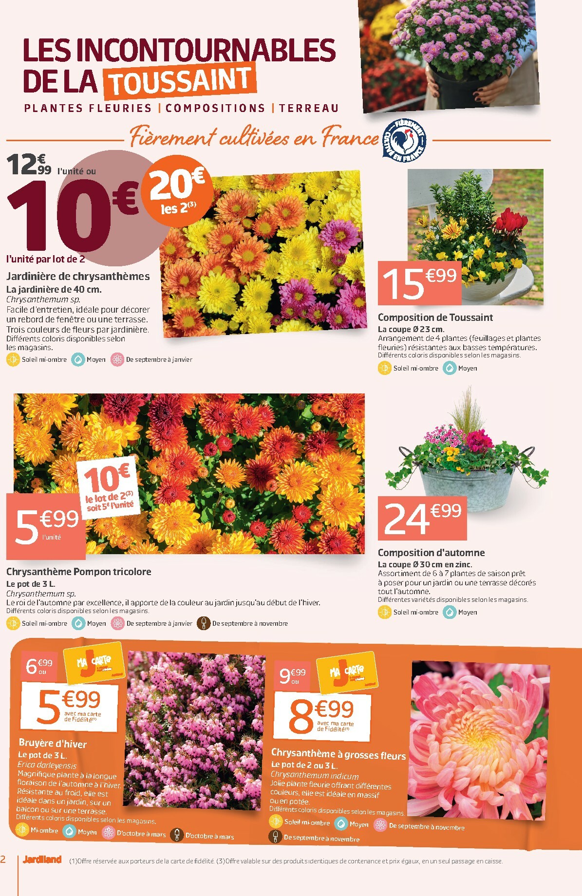 jardiland - Catalogue Jardiland valable du 22/10 au 02/11 - page: 2