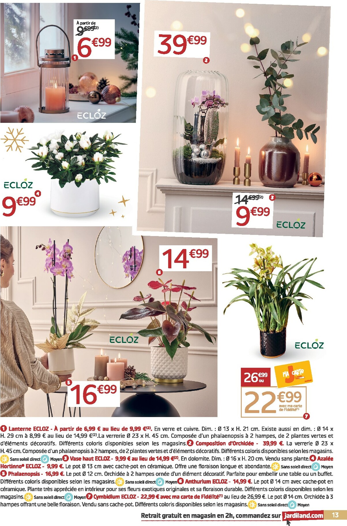 jardiland - Catalogue Jardiland valable du 19/11 au 07/12 - page: 13