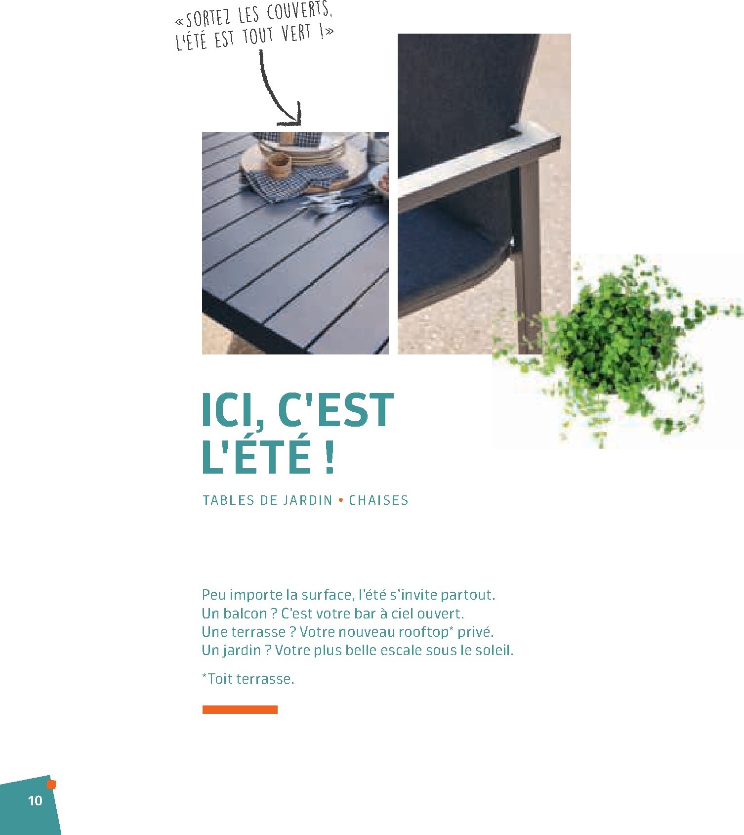 jardiland - Catalogue Jardiland valable du 02/03/2026 au 23/06/2026 - page: 10