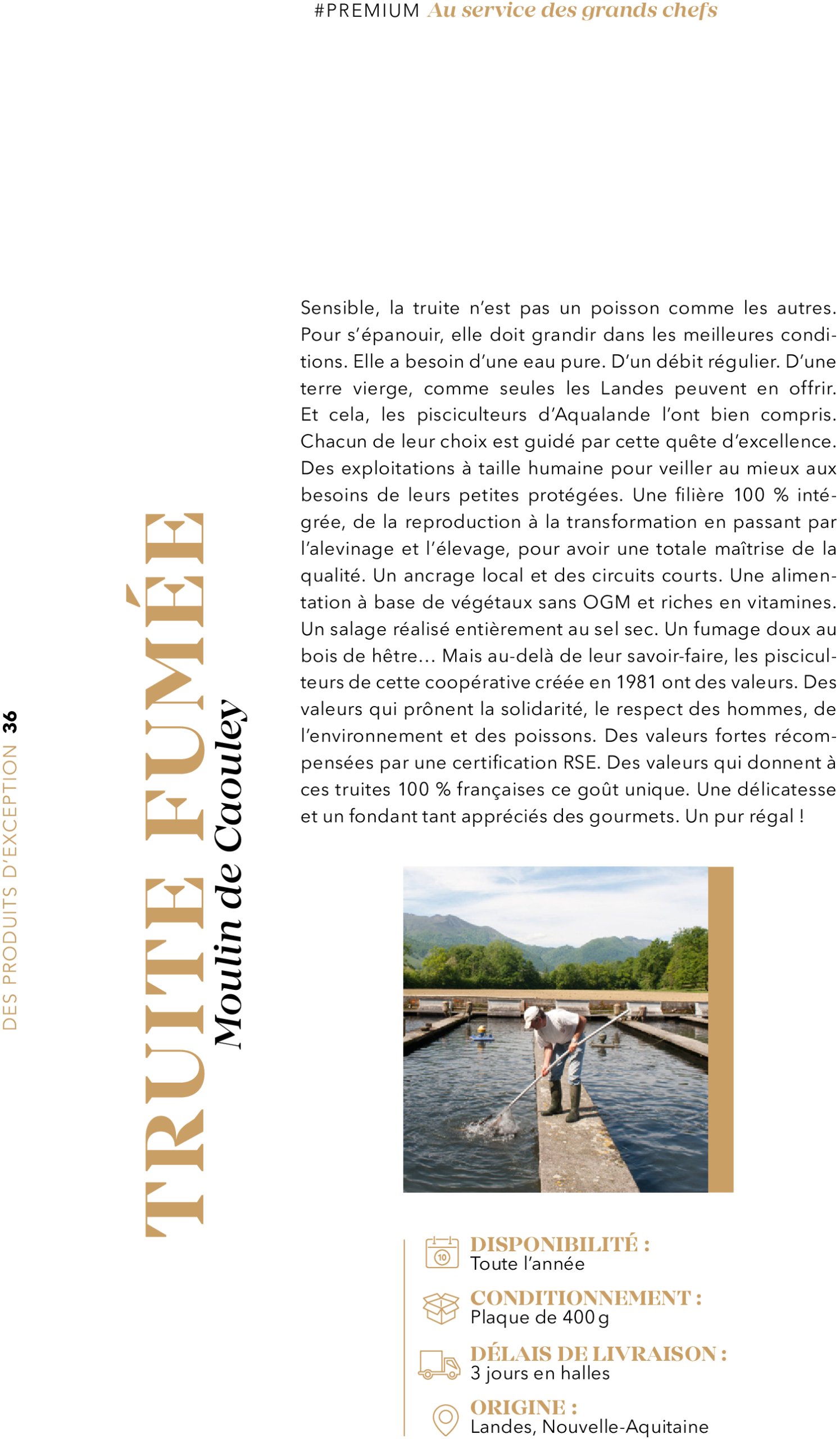 metro - Catalogue Metro - #PREMIUM édition 2025 valable du 01/07 au 31/07 - page: 36