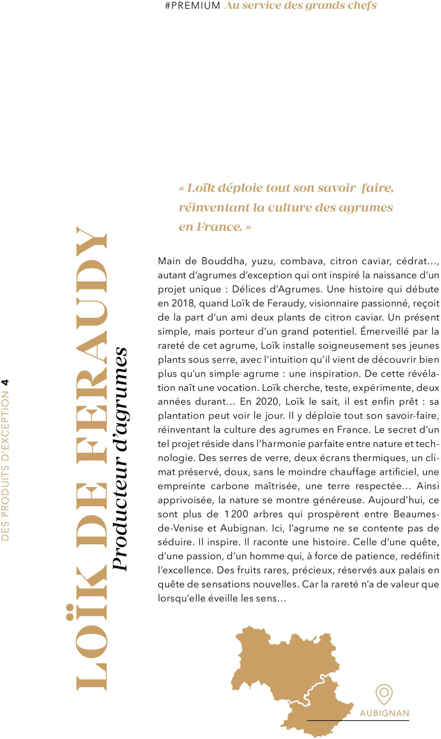 metro - Catalogue Metro - #PREMIUM édition 2025 valable du 01/07 au 31/07 - page: 4