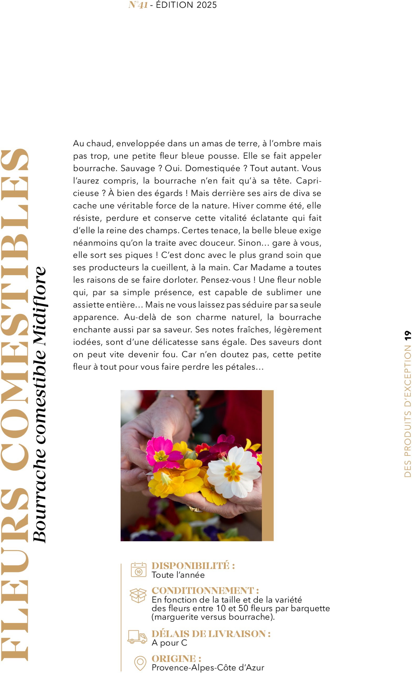 metro - Catalogue Metro - #PREMIUM édition 2025 valable du 01/07 au 31/07 - page: 19
