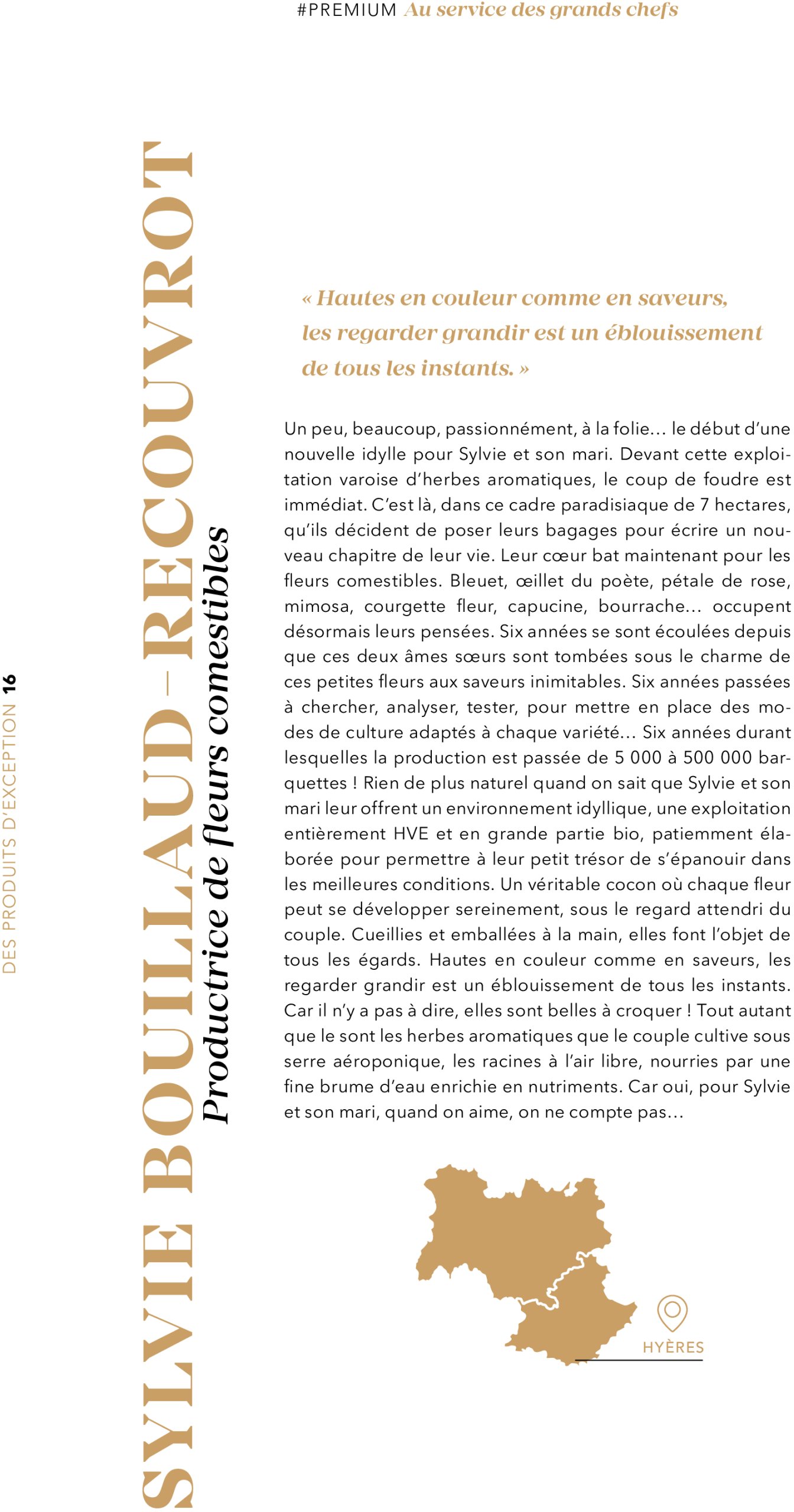 metro - Catalogue Metro - #PREMIUM édition 2025 valable du 01/07 au 31/07 - page: 16