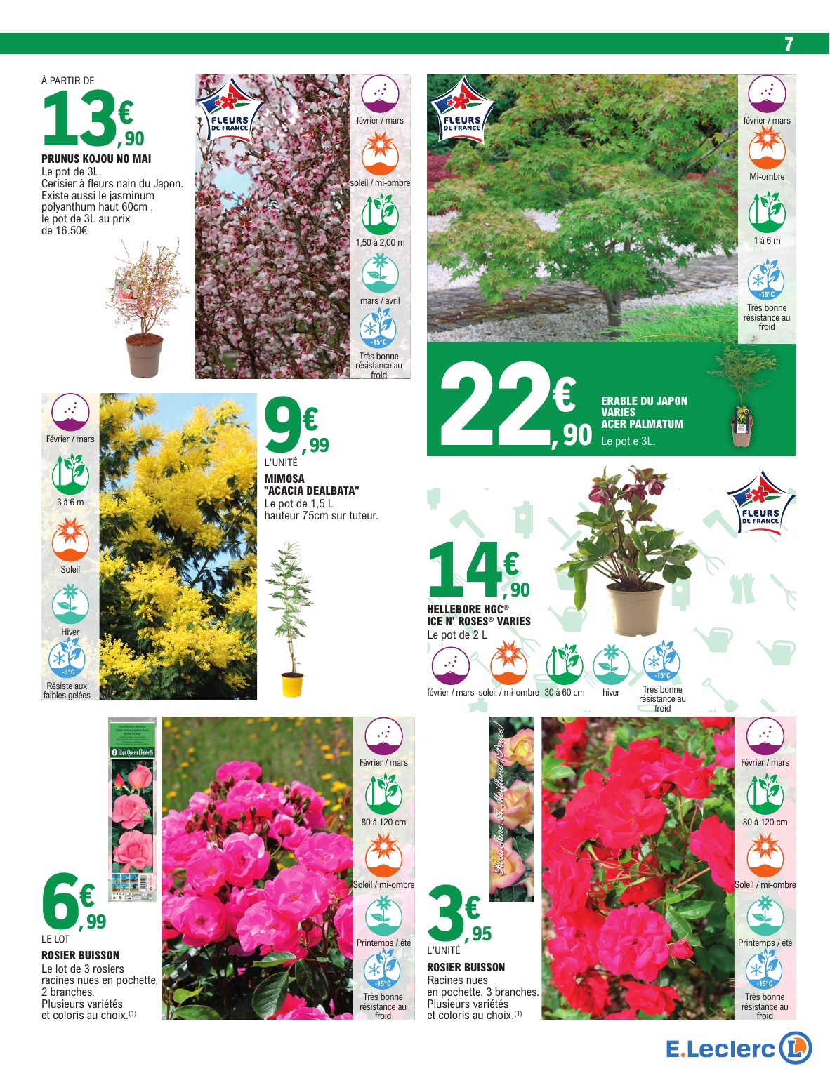 e-leclerc - Catalogue E.Leclerc - Jardin valable du 03/03/2026 au 15/03/2026 - page: 7