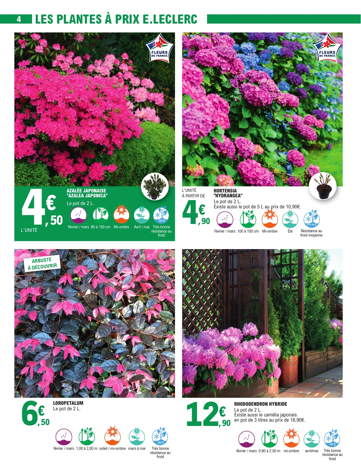 e-leclerc - Catalogue E.Leclerc - Jardin valable du 03/03/2026 au 15/03/2026 - page: 4