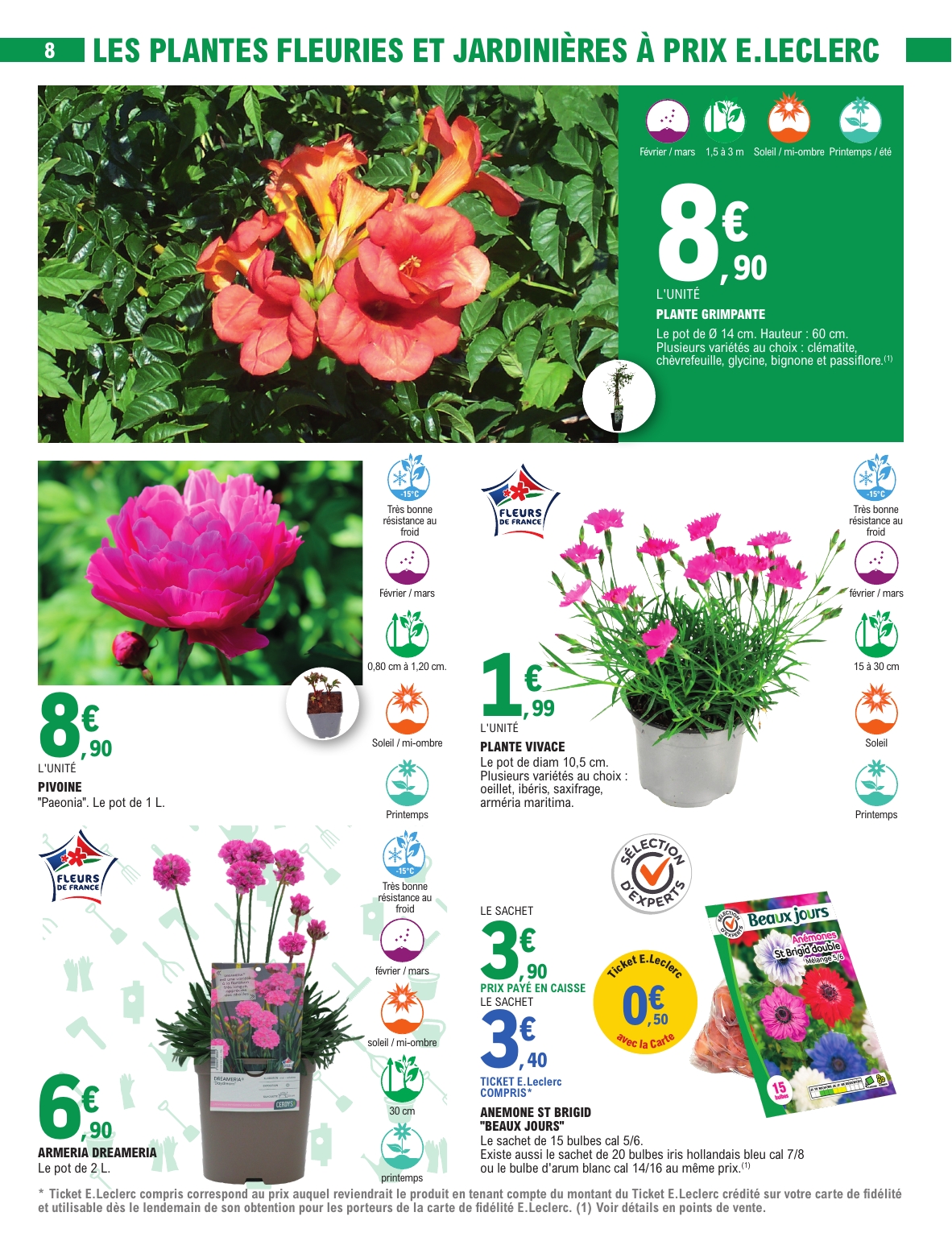 e-leclerc - Catalogue E.Leclerc - Jardin valable du 03/03/2026 au 15/03/2026 - page: 8