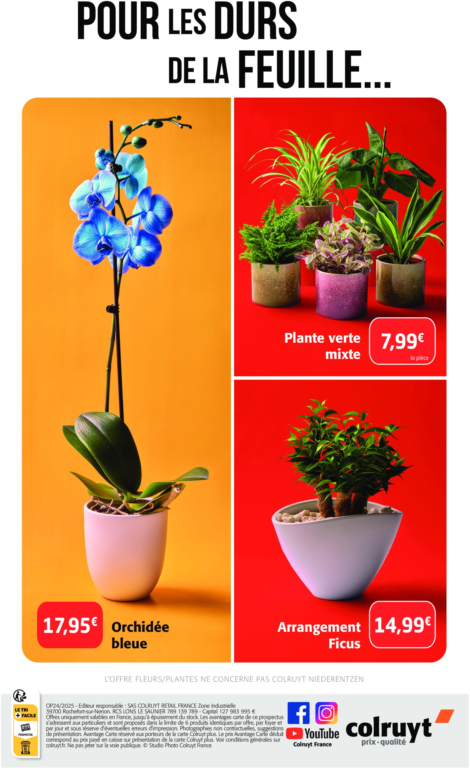 colruyt - Catalogue Colruyt valable du 11/06 au 15/06 - page: 8