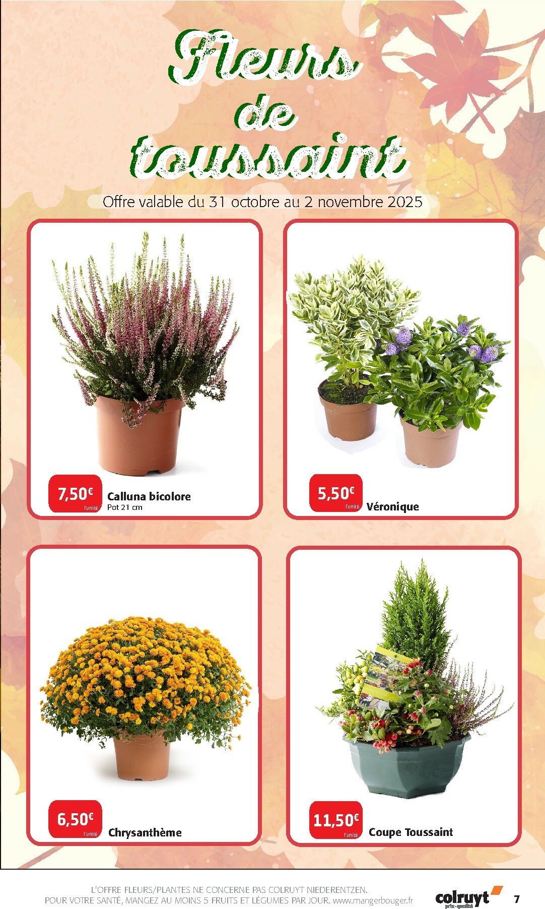 colruyt - Catalogue Colruyt - Une saison pour les gourmands valable du 29/10 au 02/11 - page: 7