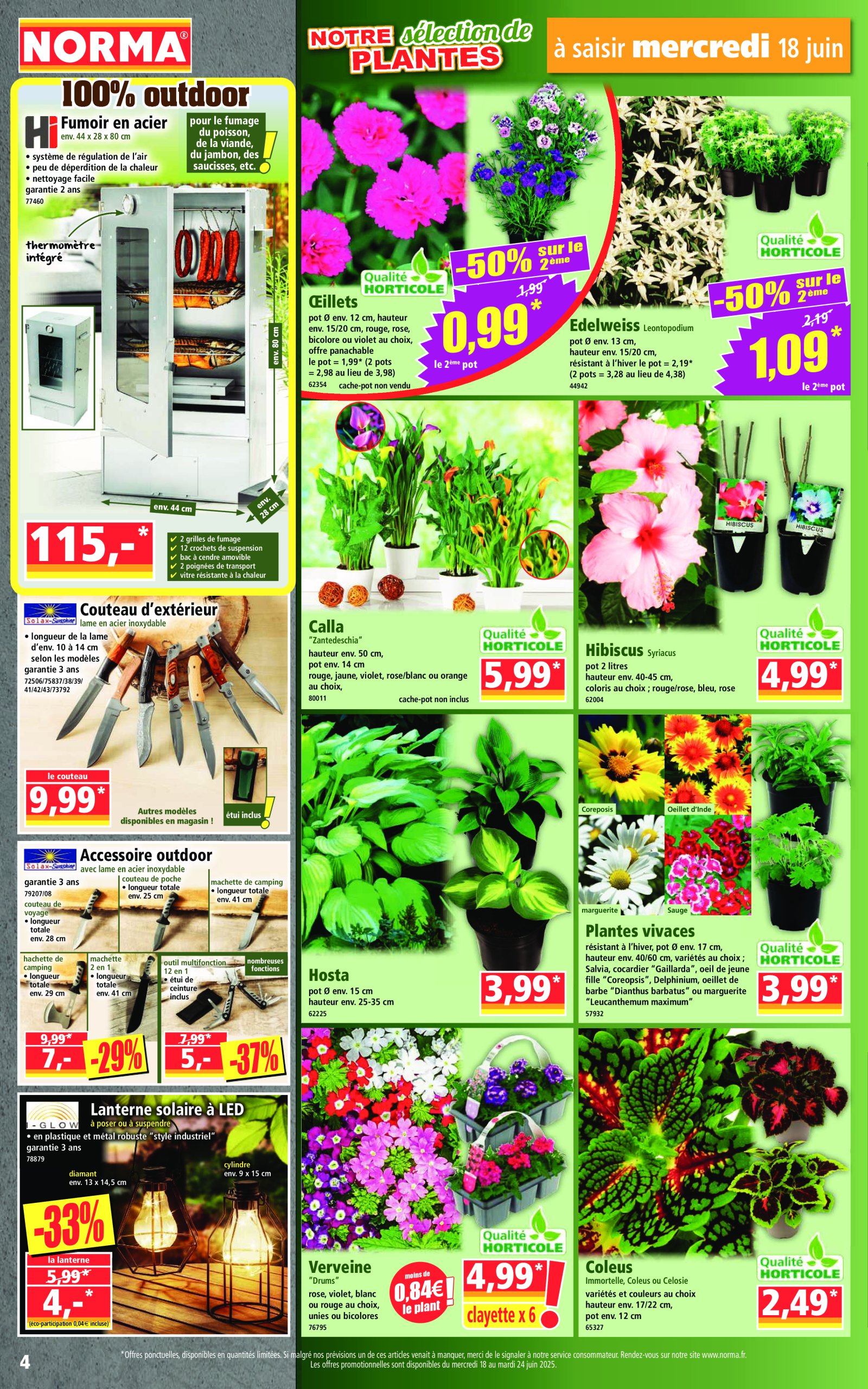 norma - Catalogue NORMA valable du 18/06 au 24/06 - page: 4