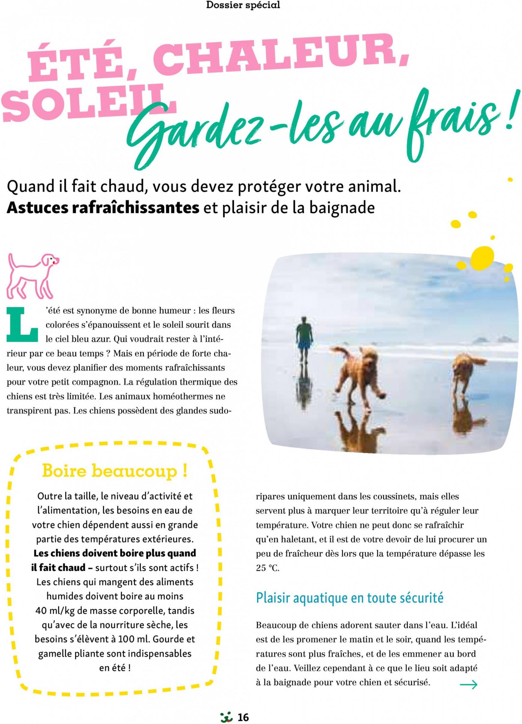 maxizoo - Prospectus Maxizoo Friends actuel 11.07. - 31.12. - page: 16 maxizoo - Prospectus Maxizoo Friends actuel 11.07. - 31.12. - page: 16