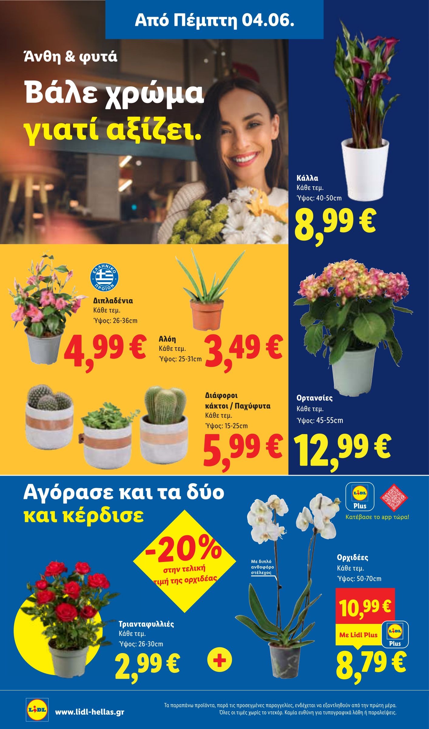 lidl - Μέλλων φυλλάδιο Lidl ισχύει από πέμπτης 04/06/2026 μέχρι τετάρτης 10/06/2026 - page: 42