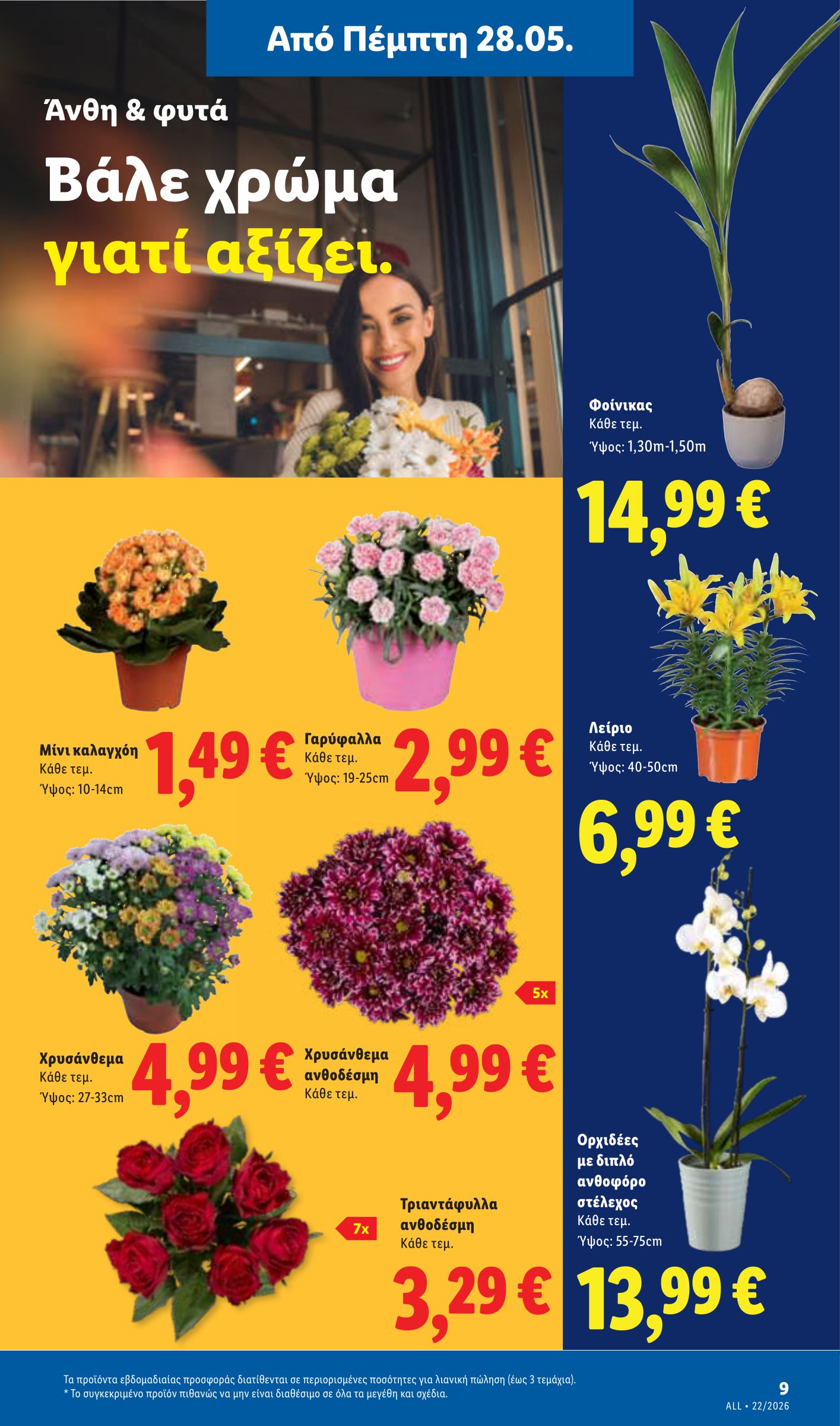 lidl - Το τρέχον φυλλάδιο Lidl ισχύει από πέμπτης 28/05/2026 έως τετάρτης 03/06/2026 - page: 45