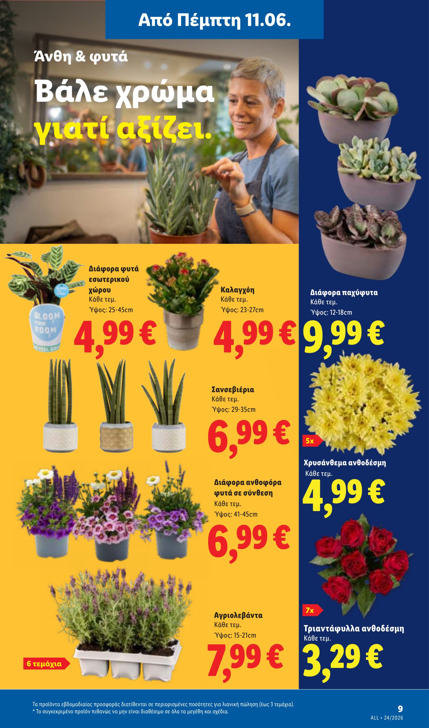 lidl - Μέλλων φυλλάδιο Lidl ισχύει από πέμπτης 11/06/2026 μέχρι τετάρτης 17/06/2026 - page: 43