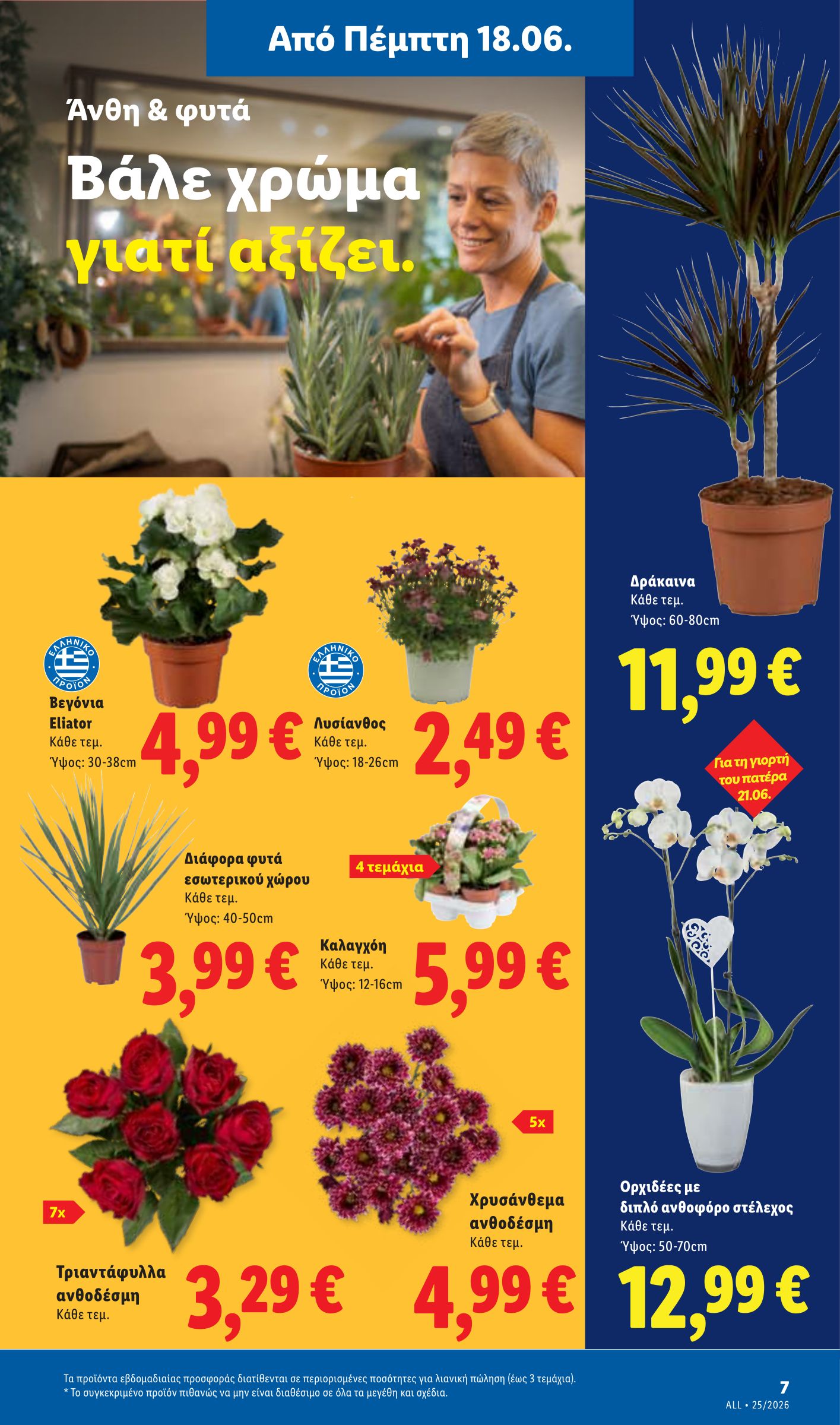 lidl - Μέλλων φυλλάδιο Lidl ισχύει από πέμπτης 18/06/2026 μέχρι τετάρτης 24/06/2026 - page: 35