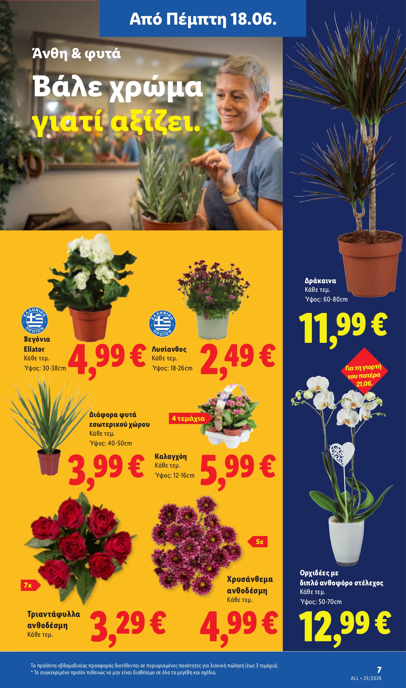 lidl - Το τρέχον φυλλάδιο Lidl ισχύει από πέμπτης 18/06/2026 έως τετάρτης 24/06/2026 - page: 39