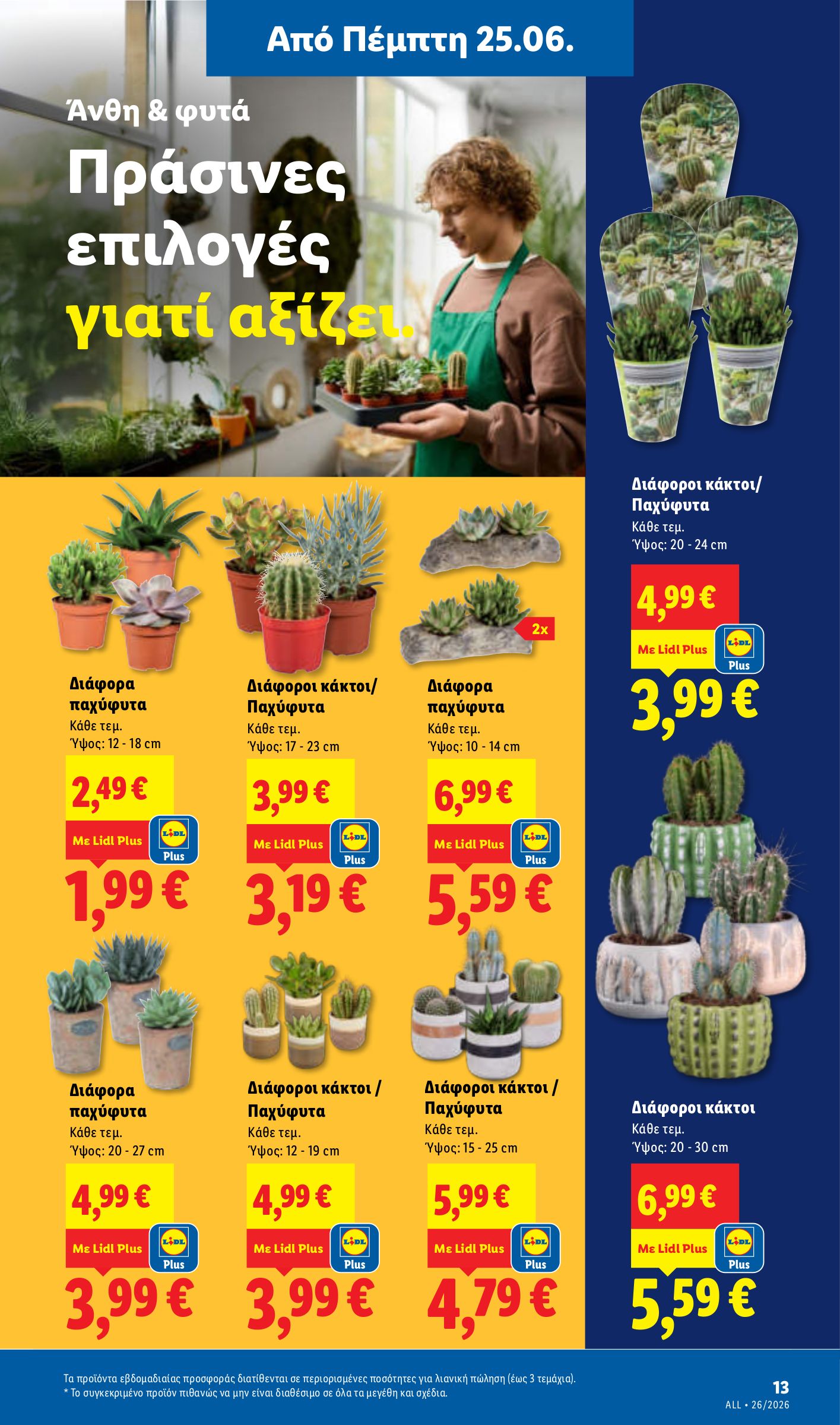 lidl - Μέλλων φυλλάδιο Lidl ισχύει από πέμπτης 25/06/2026 μέχρι τετάρτης 01/07/2026 - page: 47