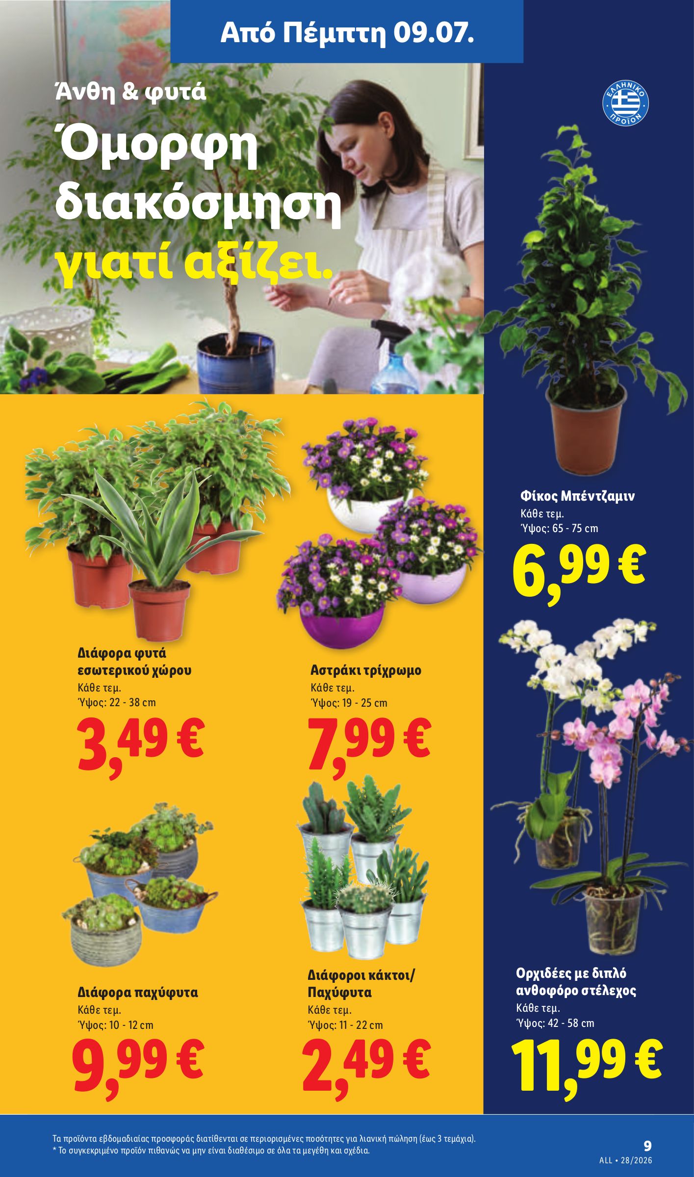 lidl - Το τρέχον φυλλάδιο Lidl ισχύει από πέμπτης 09/07/2026 έως τετάρτης 15/07/2026 - page: 45