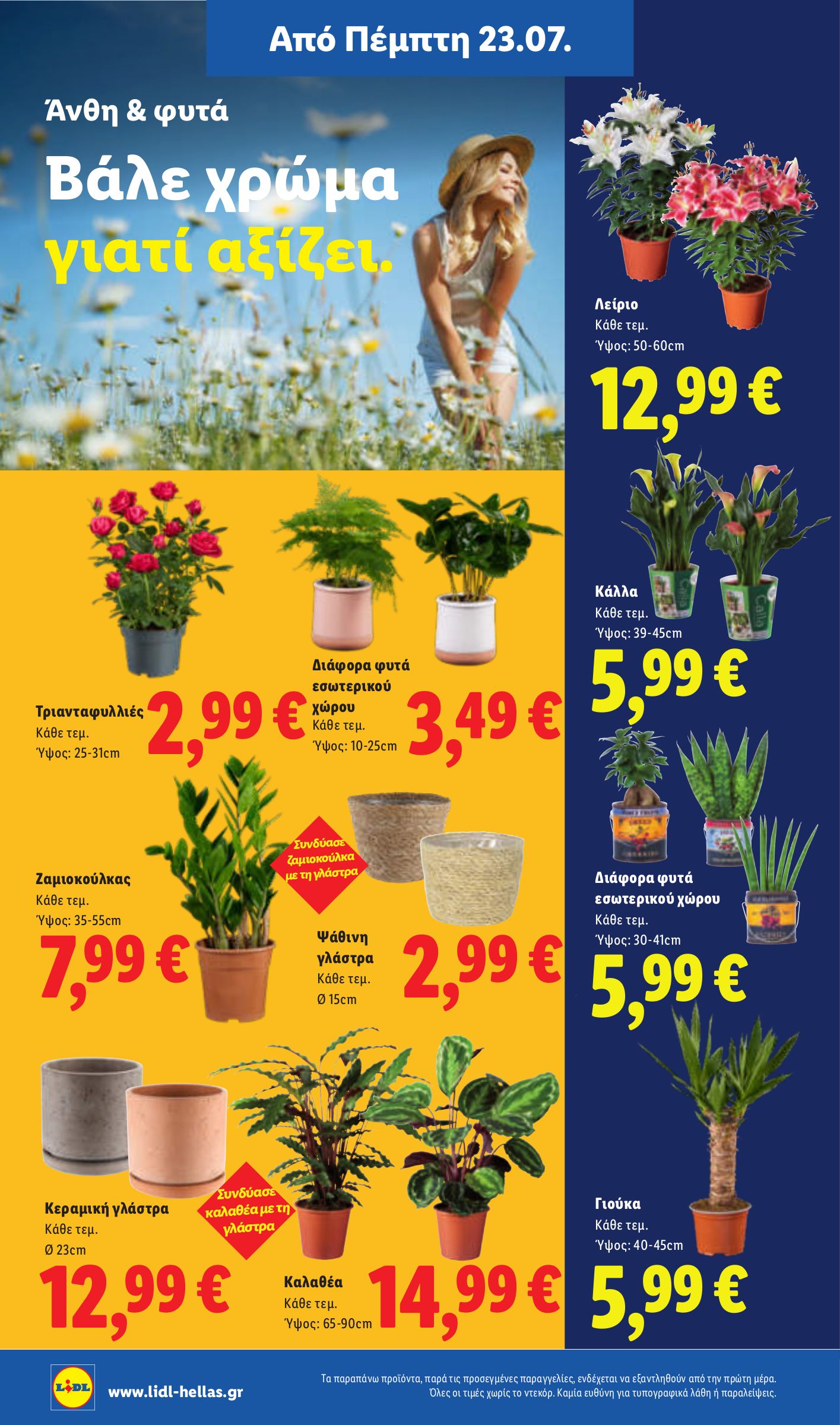 lidl - Μέλλων φυλλάδιο Lidl ισχύει από πέμπτης 23/07/2026 μέχρι τετάρτης 29/07/2026 - page: 39