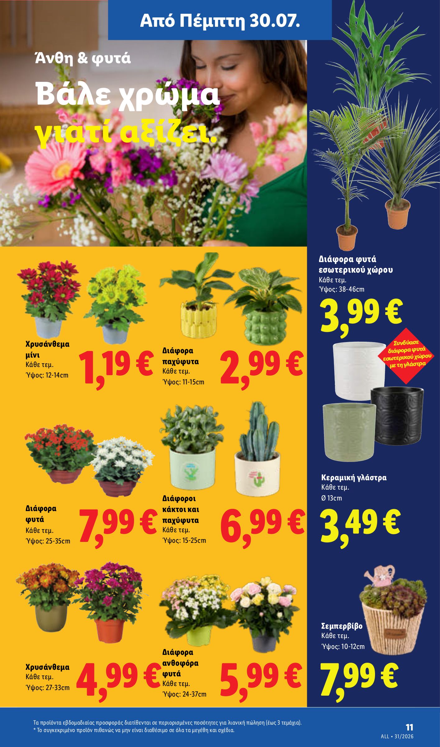 lidl - Μέλλων φυλλάδιο Lidl ισχύει από πέμπτης 30/07/2026 μέχρι τετάρτης 05/08/2026 - page: 41