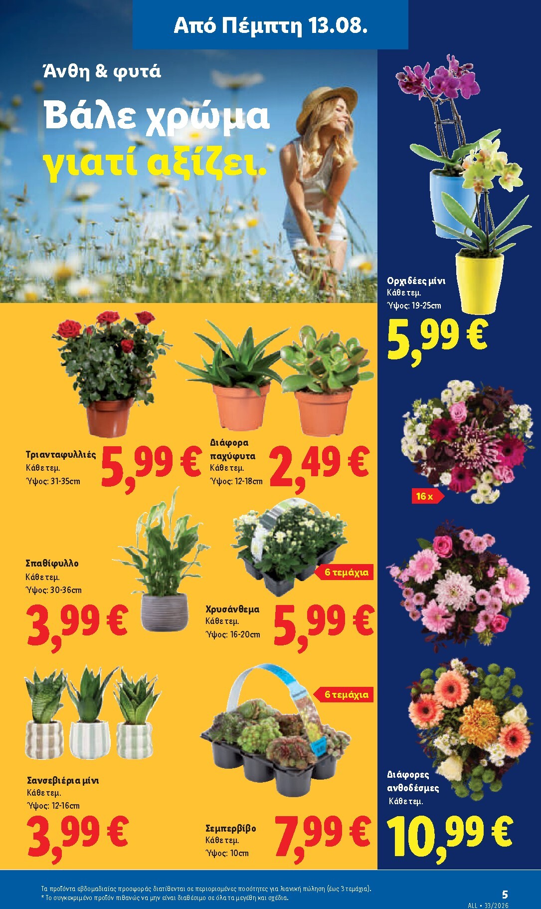 lidl - Το τρέχον φυλλάδιο Lidl ισχύει από πέμπτης 13/08/2026 έως τετάρτης 19/08/2026 - page: 43