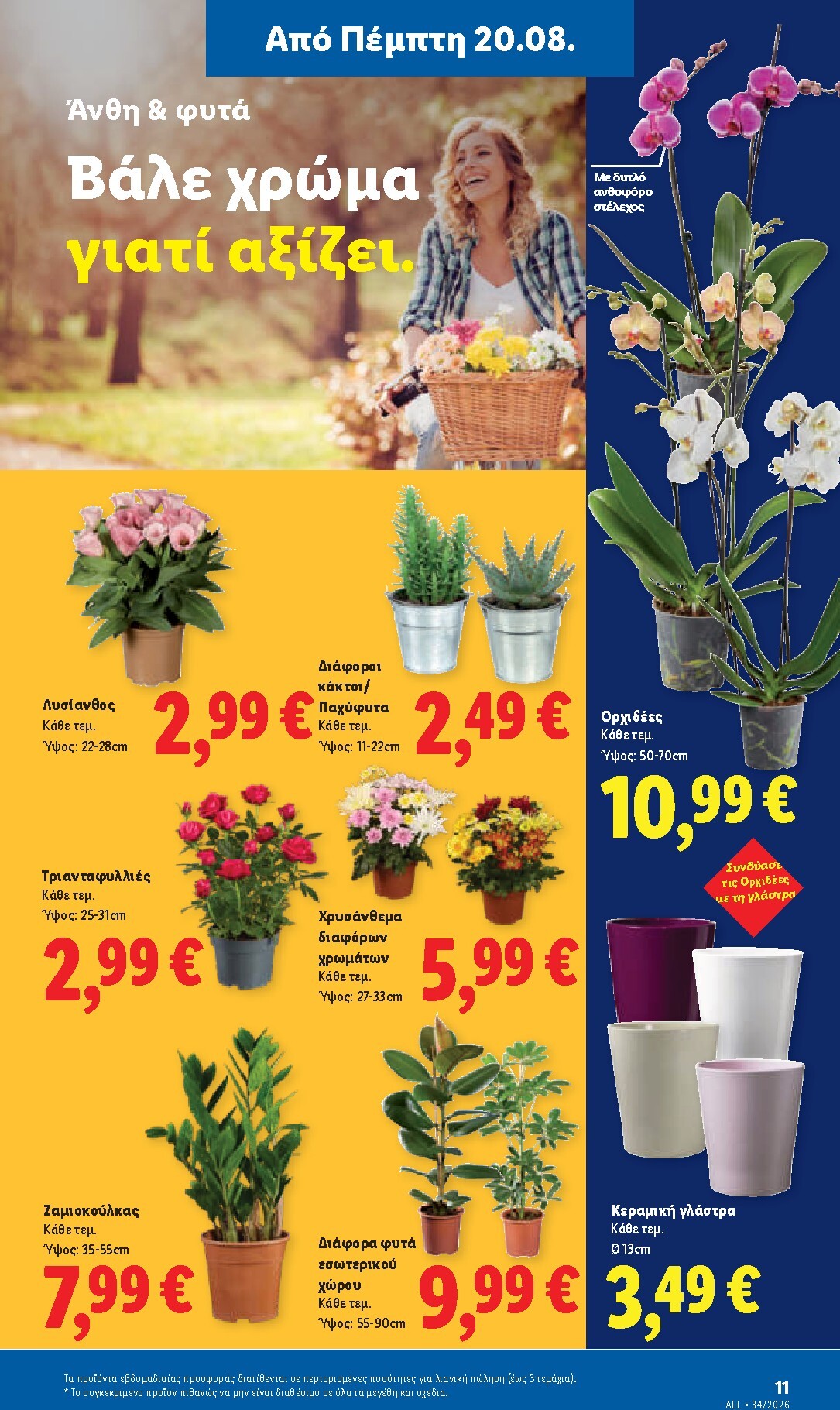 lidl - Το τρέχον φυλλάδιο Lidl ισχύει από πέμπτης 20/08/2026 έως τετάρτης 26/08/2026 - page: 49