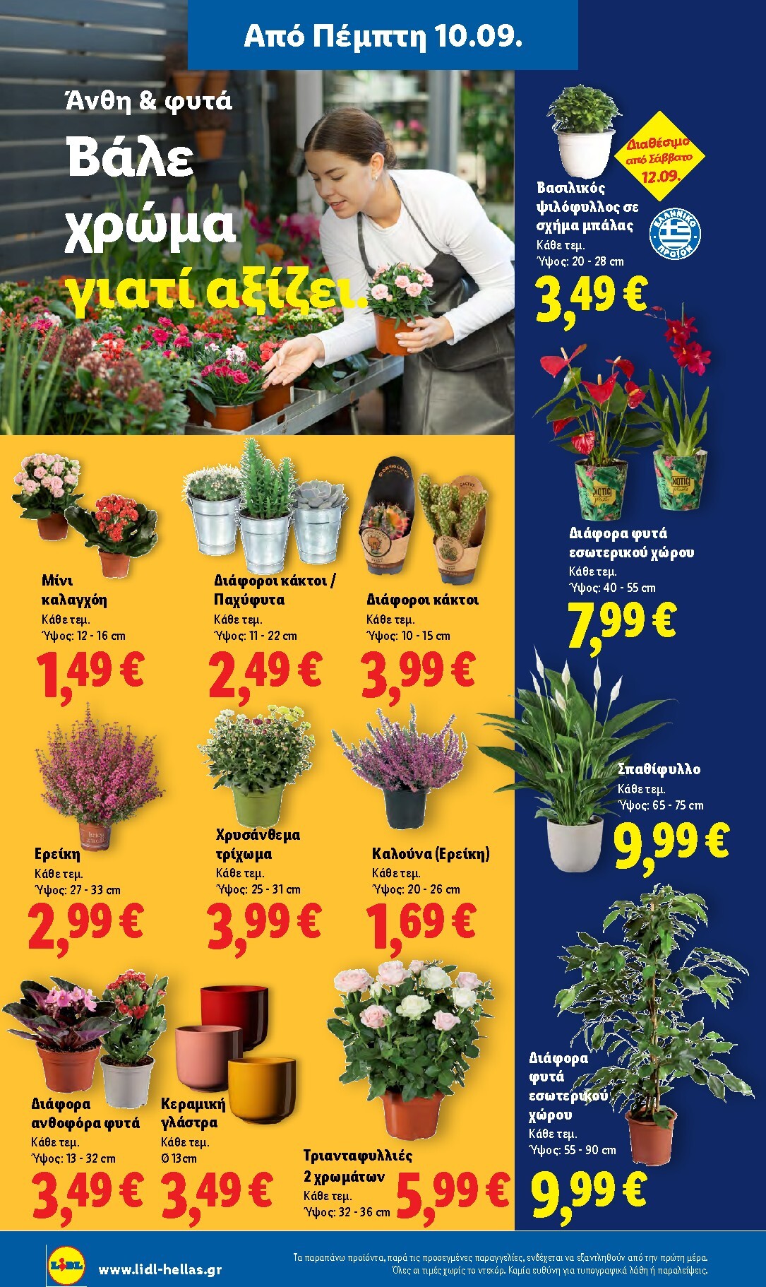 lidl - Μέλλων φυλλάδιο Lidl ισχύει από πέμπτης 10/09/2026 μέχρι τετάρτης 16/09/2026 - page: 38