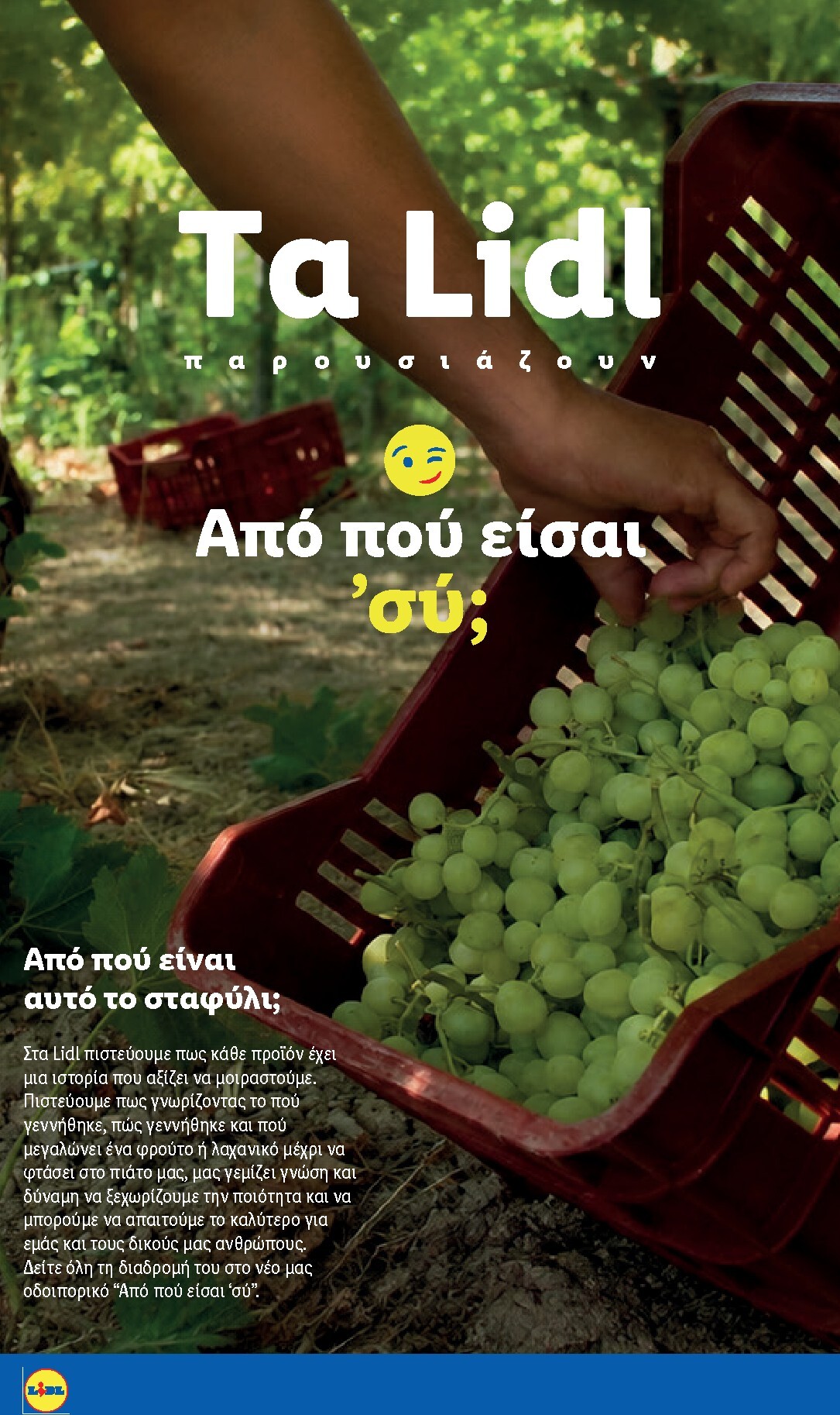 lidl - Μέλλων φυλλάδιο Lidl ισχύει από πέμπτης 10/09/2026 μέχρι τετάρτης 16/09/2026 - page: 17
