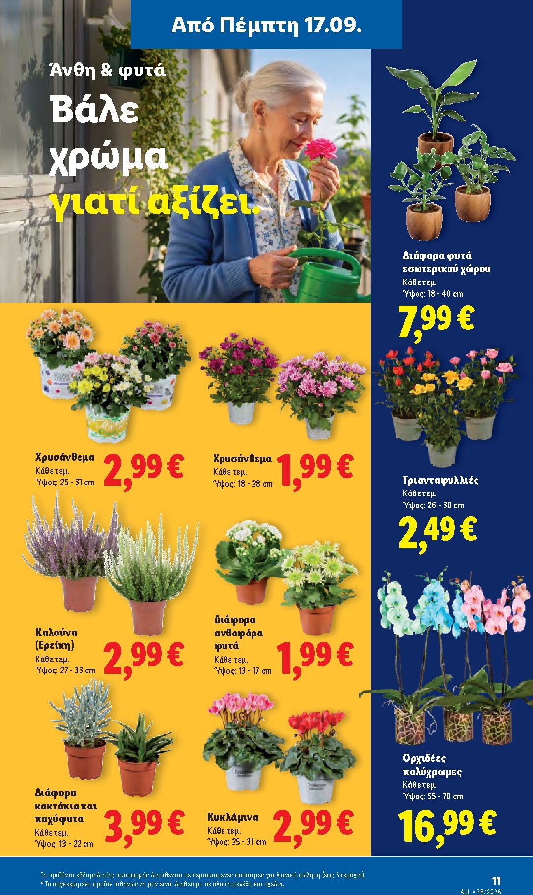 lidl - Μέλλων φυλλάδιο Lidl ισχύει από πέμπτης 17/09/2026 μέχρι τετάρτης 23/09/2026 - page: 41