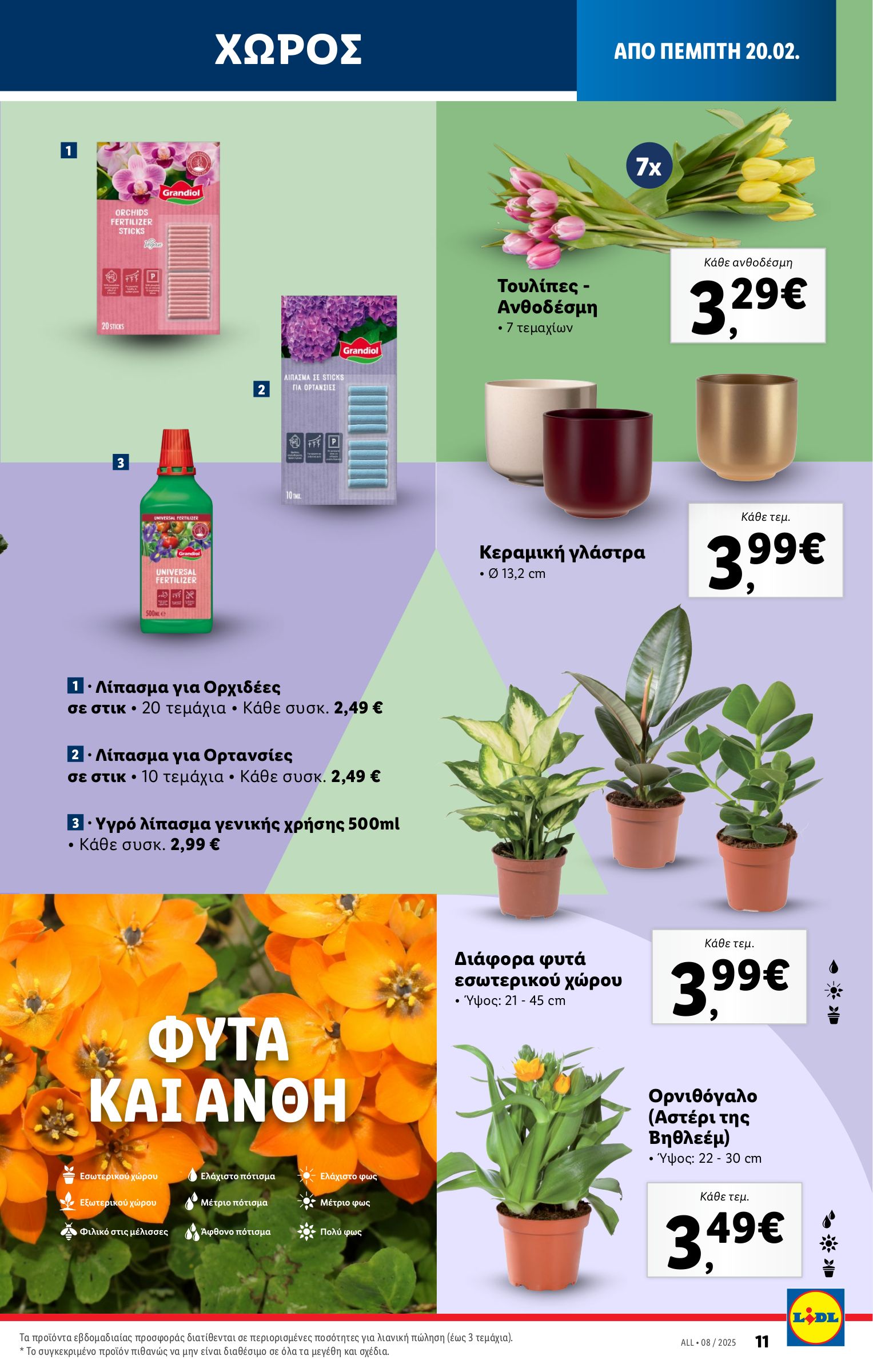 lidl - Lidl φυλλάδιο έγκυρο από 20/02 - 26/02 - page: 65 lidl - Lidl φυλλάδιο έγκυρο από 20/02 - 26/02 - page: 65