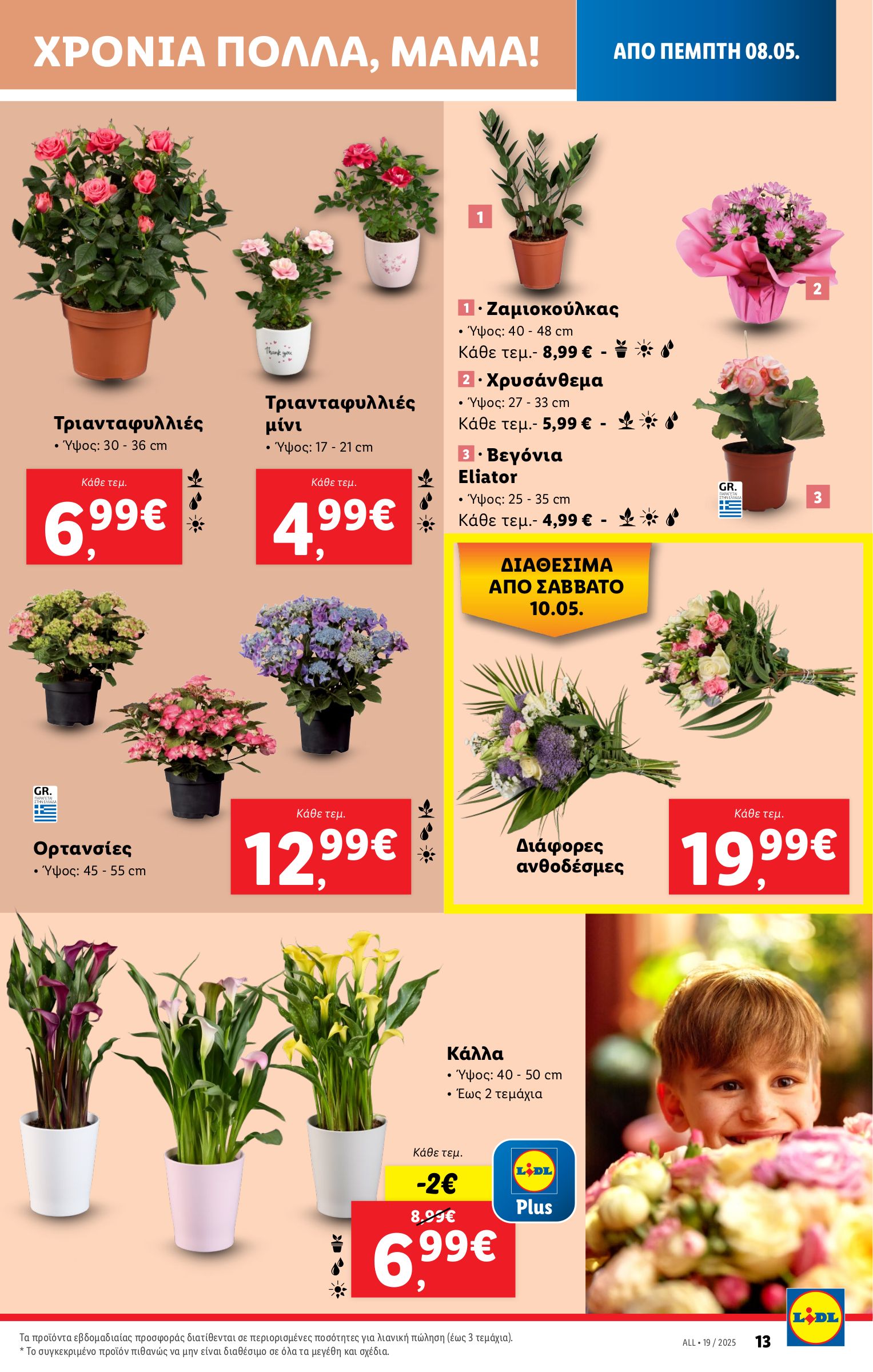 lidl - Lidl φυλλάδιο έγκυρο από 08/05 - 14/05 - page: 43 lidl - Lidl φυλλάδιο έγκυρο από 08/05 - 14/05 - page: 43