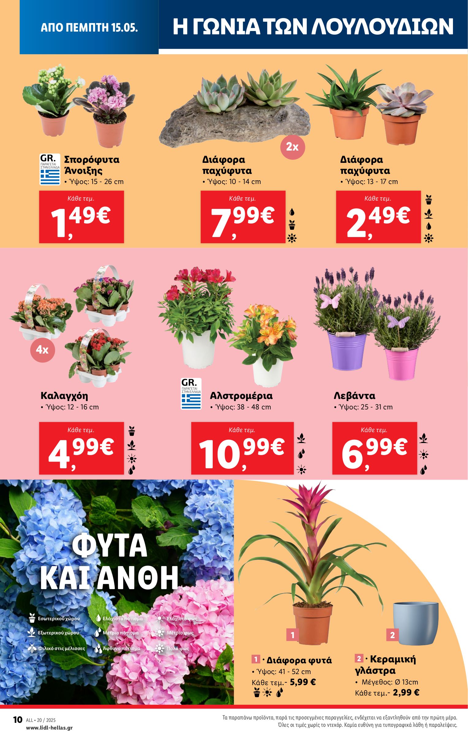 lidl - Lidl φυλλάδιο έγκυρο από 15/05 - 21/05 - page: 40