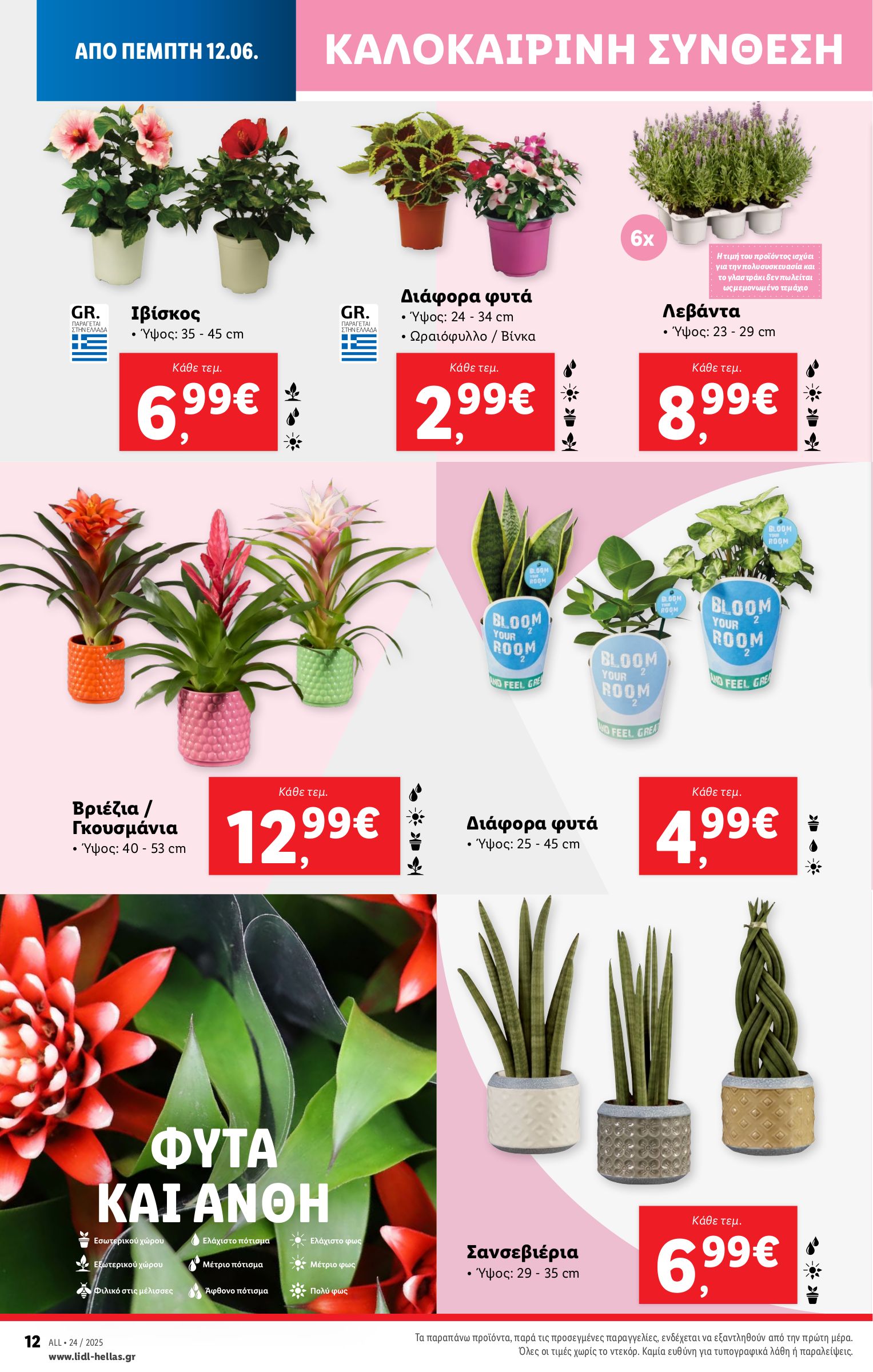 lidl - Lidl φυλλάδιο έγκυρο από 12/06 - 18/06 - page: 44 lidl - Lidl φυλλάδιο έγκυρο από 12/06 - 18/06 - page: 44