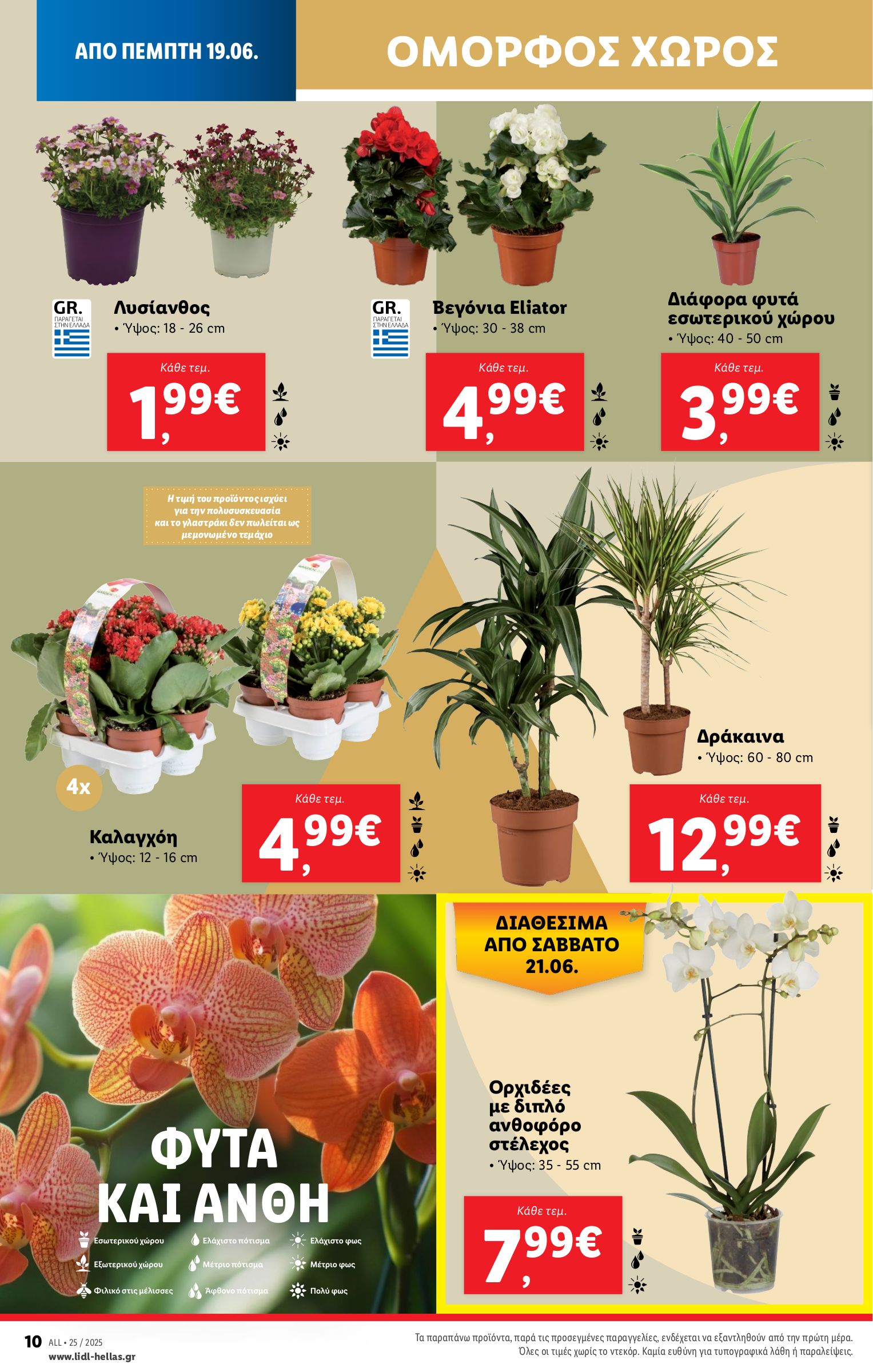 lidl - Lidl φυλλάδιο έγκυρο από 19/06 - 25/06 - page: 44 lidl - Lidl φυλλάδιο έγκυρο από 19/06 - 25/06 - page: 44