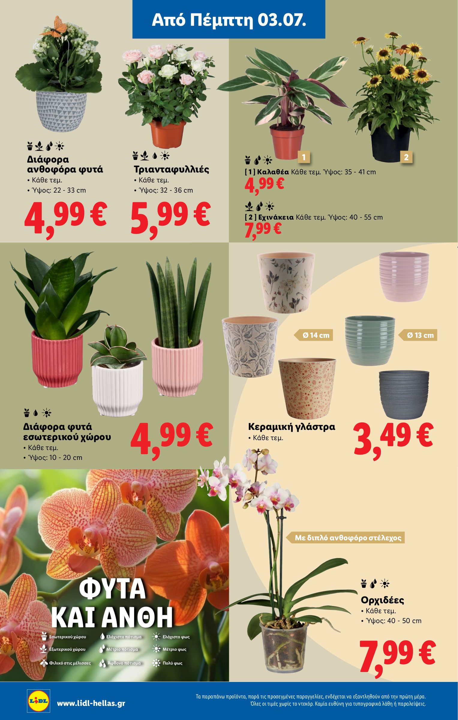 lidl - Lidl φυλλάδιο έγκυρο από 03/07 - 09/07 - page: 40 lidl - Lidl φυλλάδιο έγκυρο από 03/07 - 09/07 - page: 40