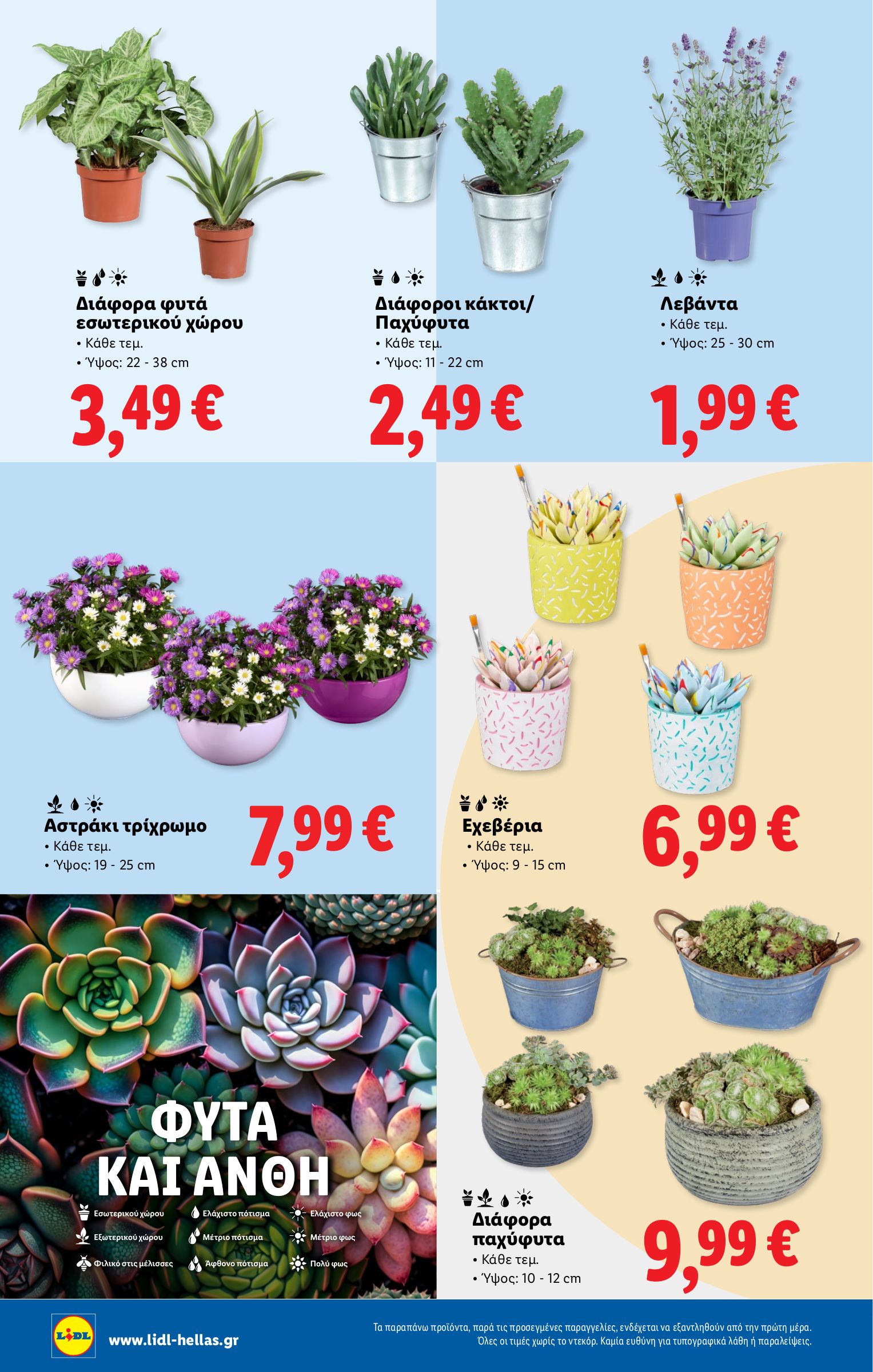 lidl - Lidl φυλλάδιο έγκυρο από 10/07 - 16/07 - page: 38 lidl - Lidl φυλλάδιο έγκυρο από 10/07 - 16/07 - page: 38