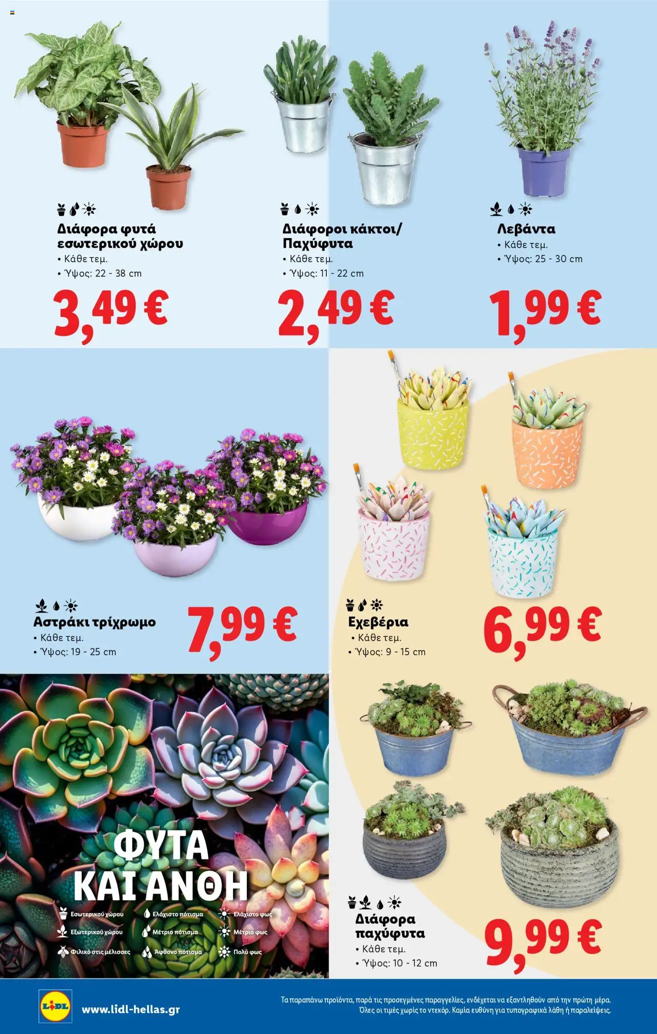 lidl - Lidl - Φυλλάδιο - Food & Nonfood 10/07/2025 - 16/07/2025 - page: 38 lidl - Lidl - Φυλλάδιο - Food & Nonfood 10/07/2025 - 16/07/2025 - page: 38