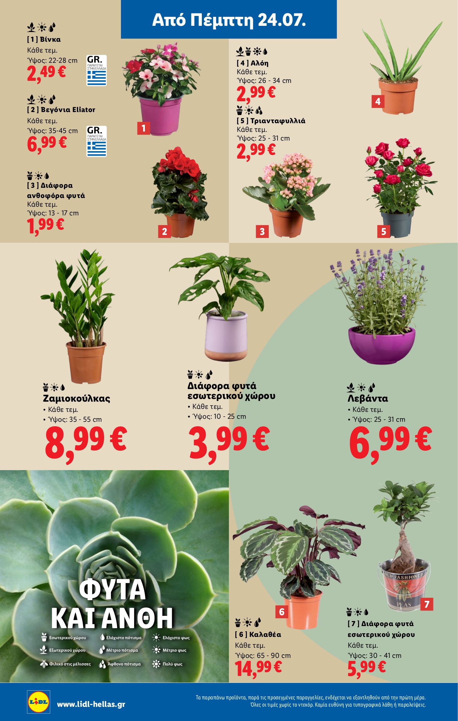 lidl - Lidl φυλλάδιο έγκυρο από 24/07 - 30/07 - page: 36 lidl - Lidl φυλλάδιο έγκυρο από 24/07 - 30/07 - page: 36